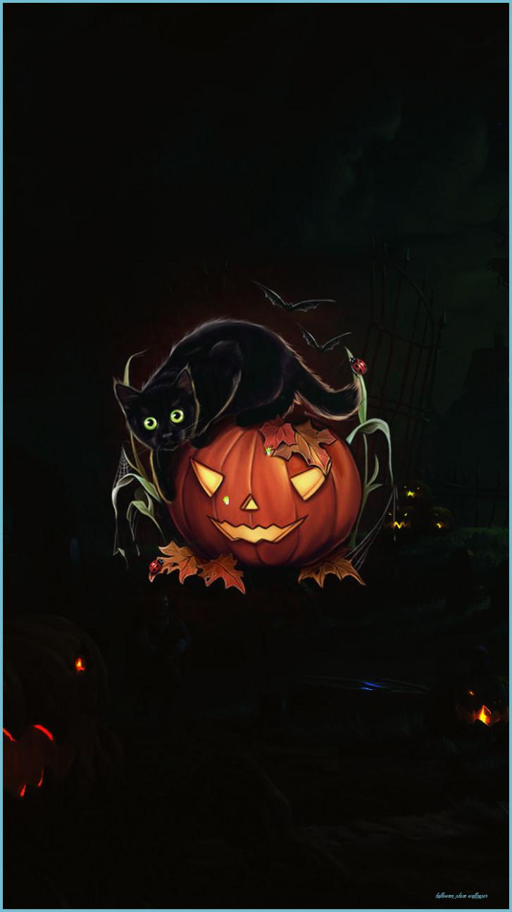 727x1293 Carved Pumpkin And Evil Black Cat Halloween Free Download Phone Wallpaper