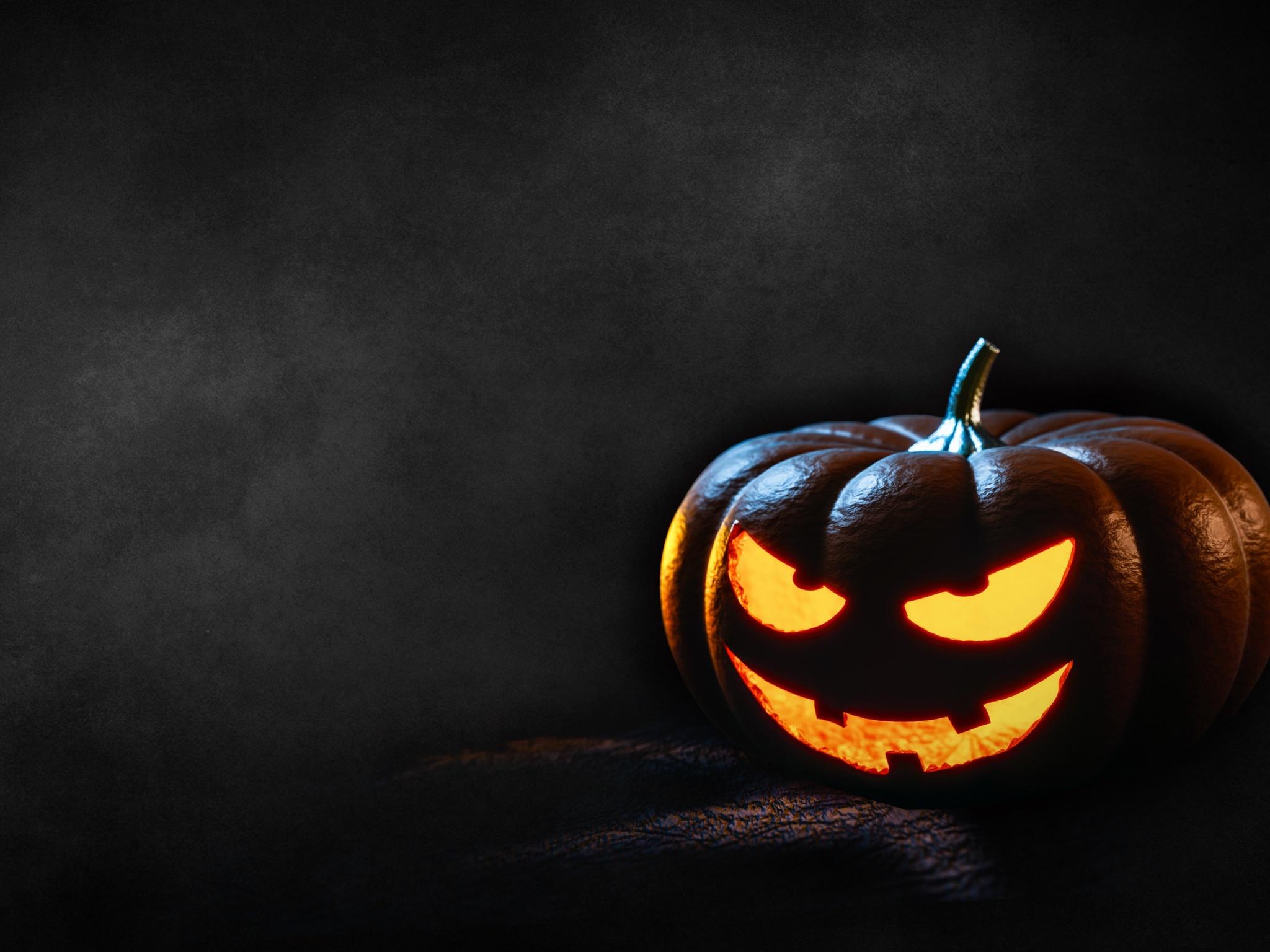 Cat Pumpkin Wallpapers - Top Free Cat Pumpkin Backgrounds - WallpaperAccess