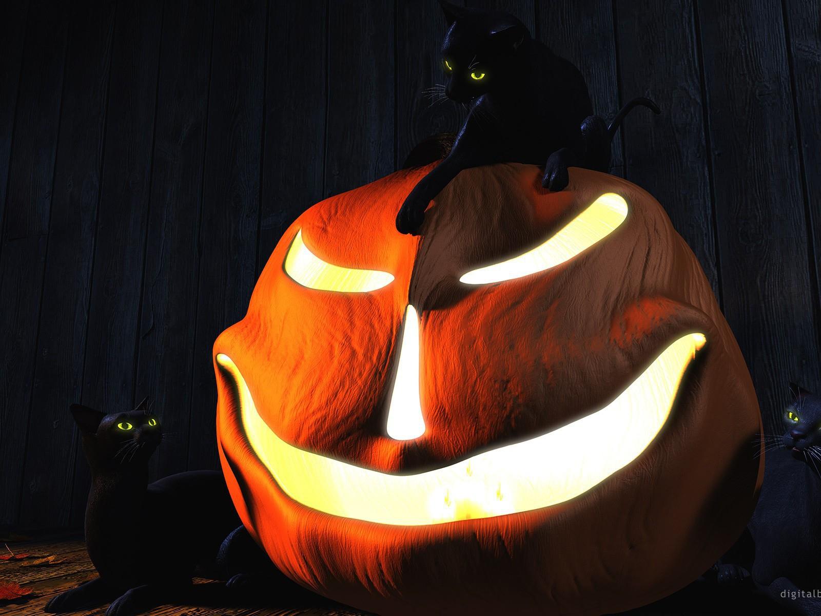 1600x1200 Black Cat Halloween Wallpaper
