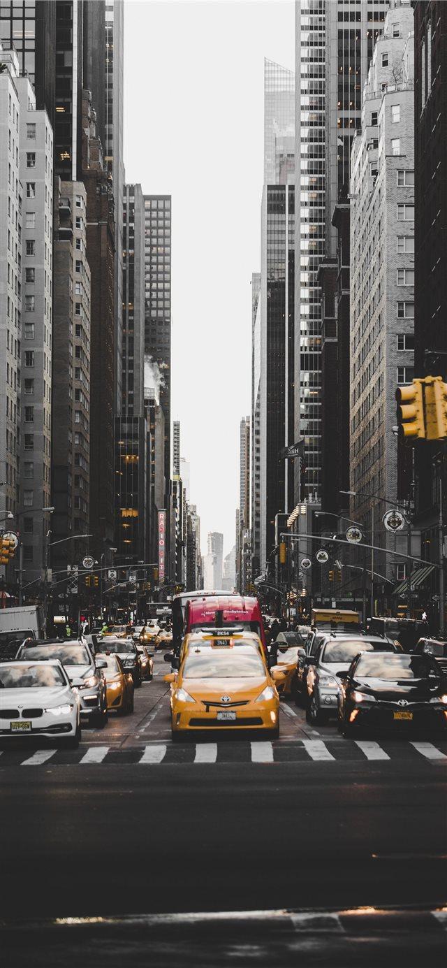 640x1385 Central Park New York United States iPhone X Wallpaper Free Download