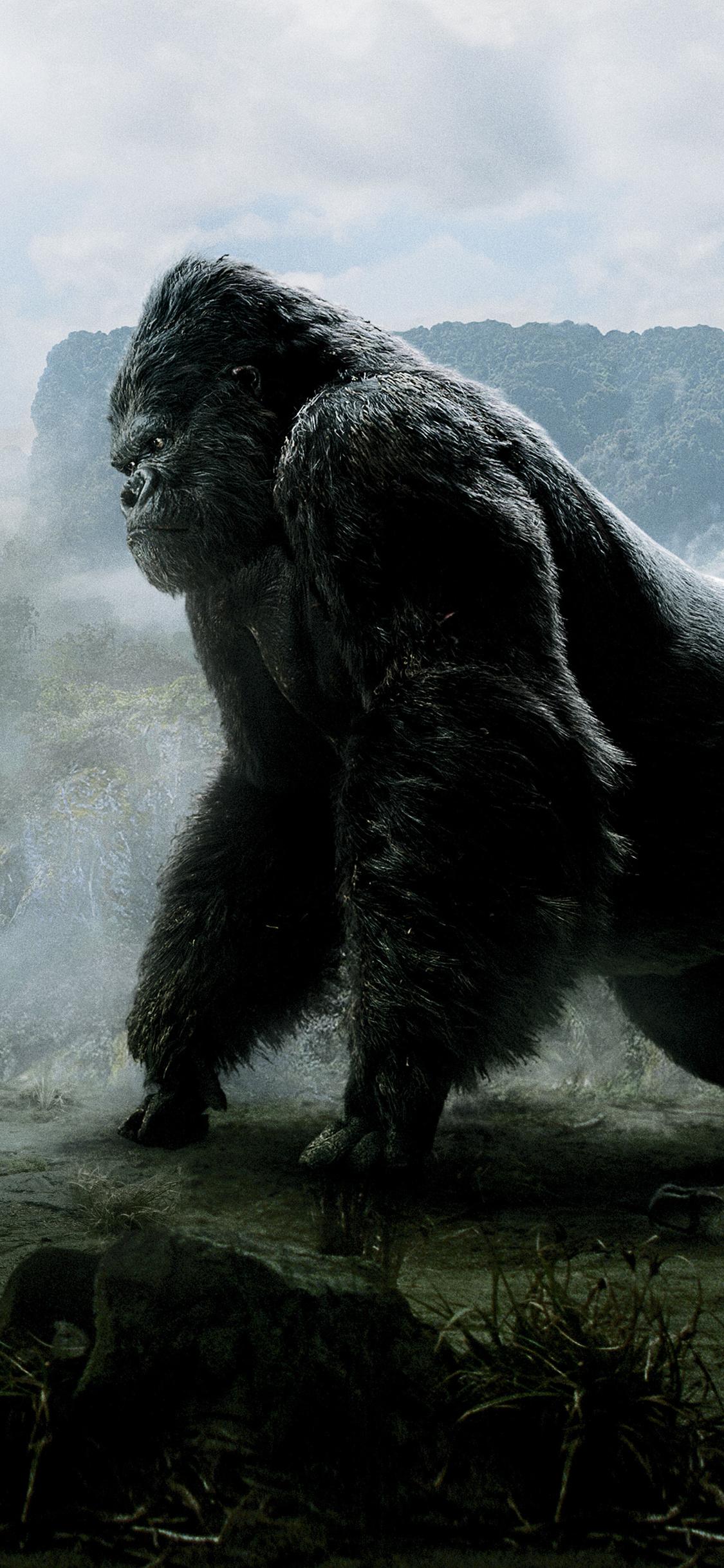 King Kong iPhone Wallpapers Top Free King Kong iPhone Backgrounds