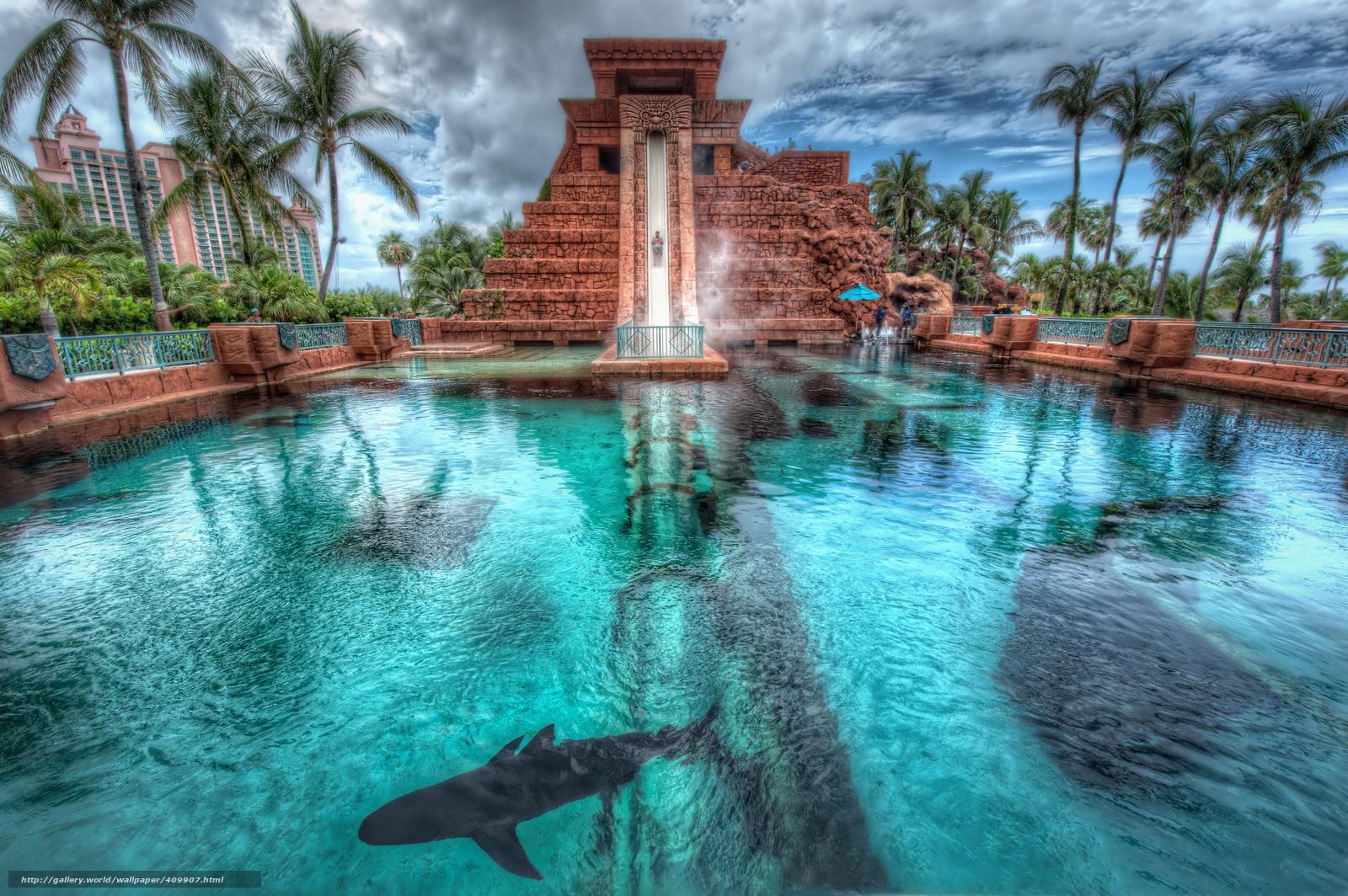 1600x1064 Download wallpaper Nassau, Bahamas, Palms, pool free desktop wallpaper in the resolution 4162x2769