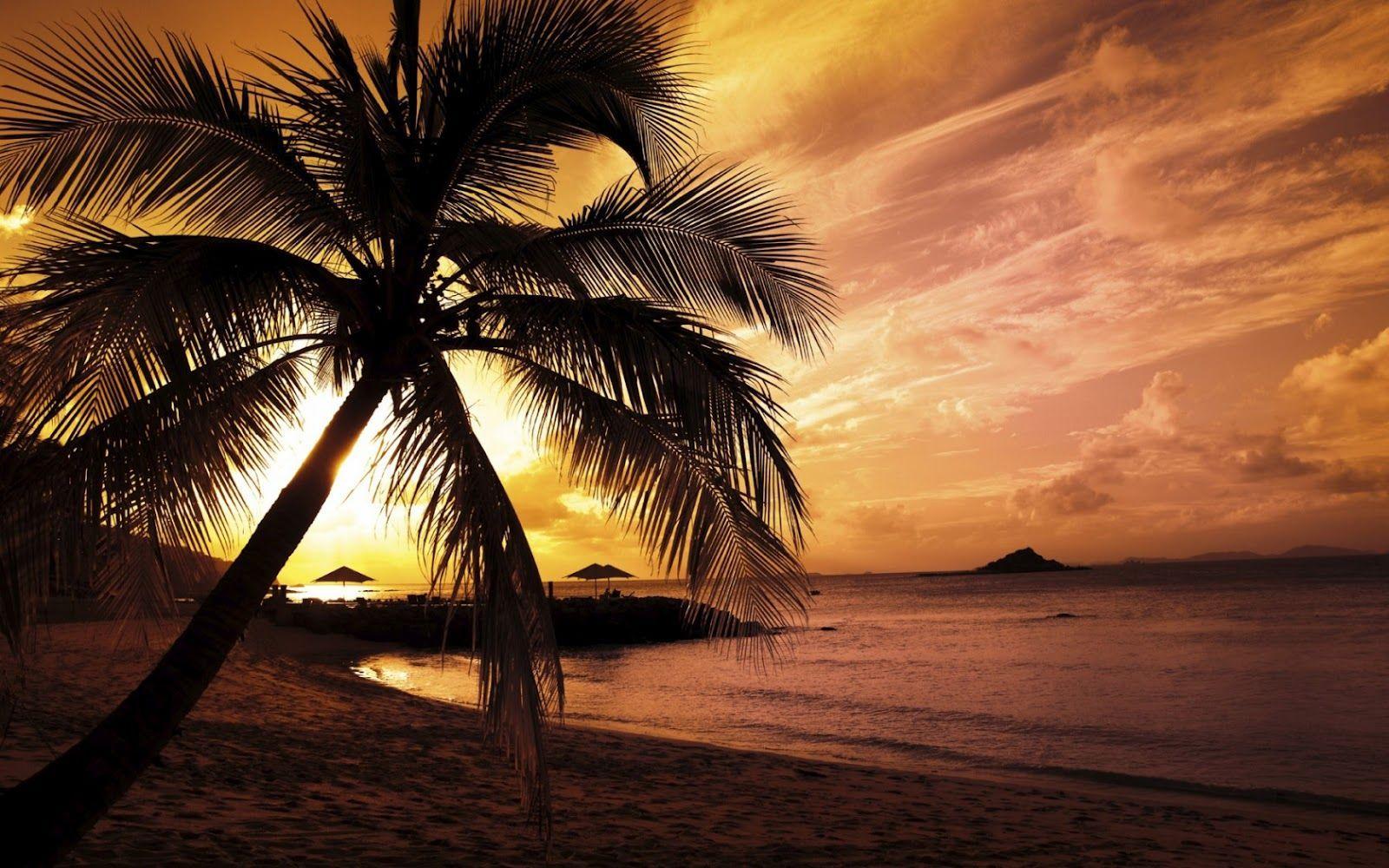 1600x1000 Bahamas Sunset Wallpaper, HD Bahamas Sunset Background on WallpaperBat
