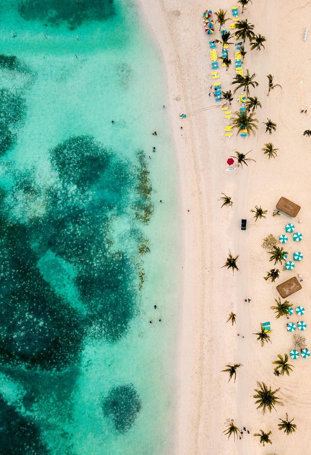 1000x1462 The Bahamas Picture [HD]. Download Free Image