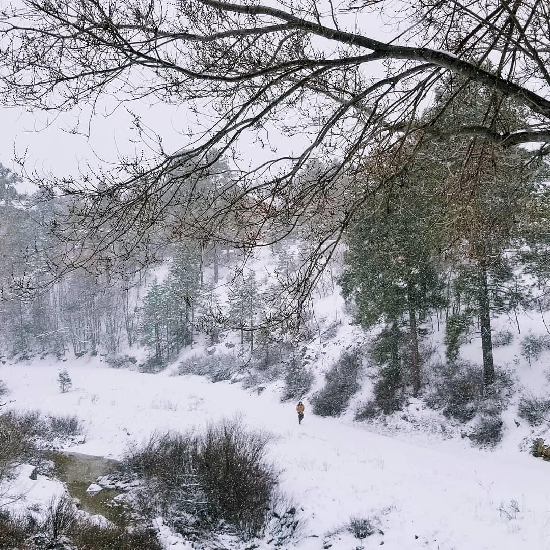 Flagstaff Arizona Wallpapers - Top Free Flagstaff Arizona Backgrounds