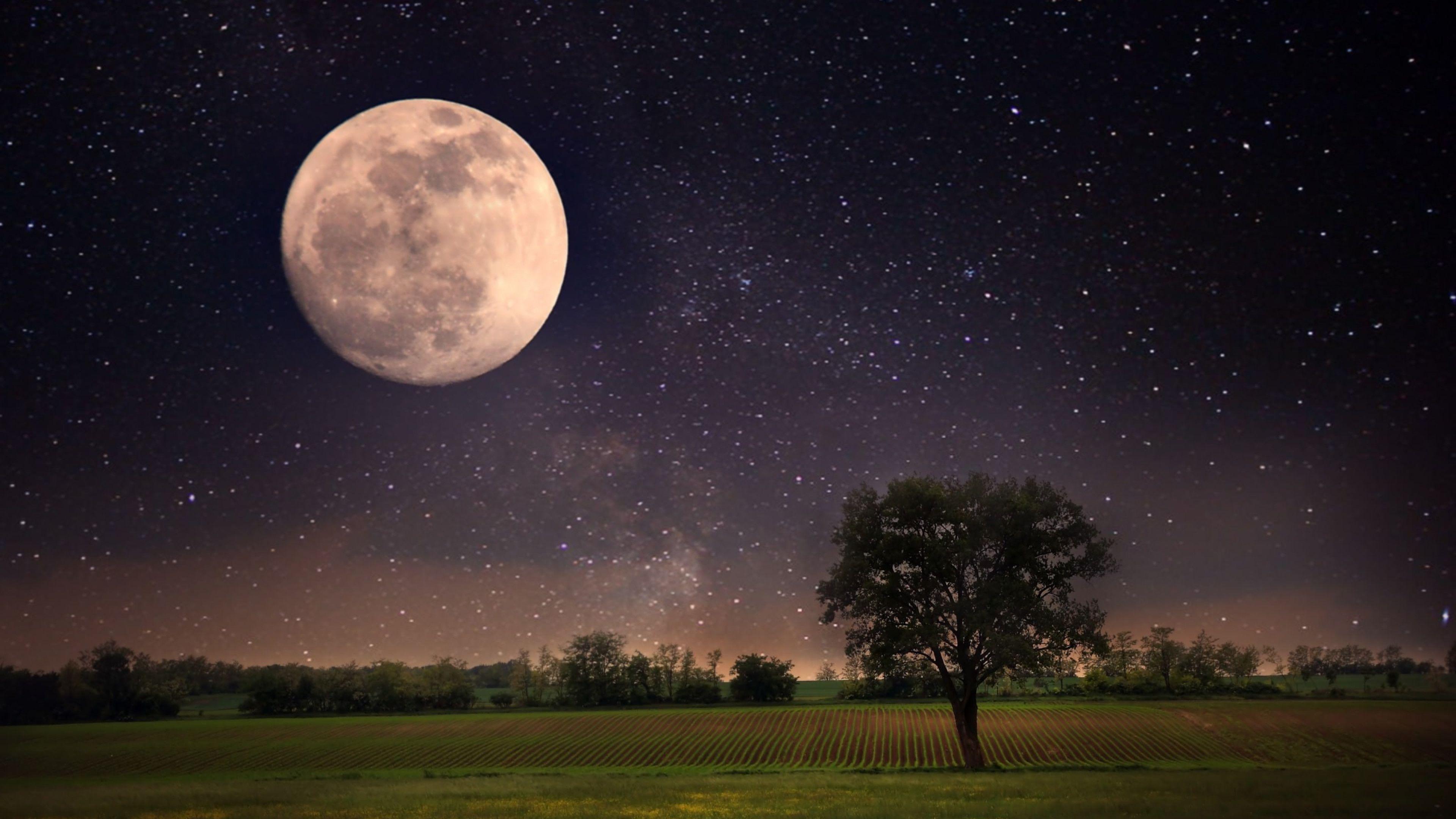 3840x2160 Moon Night Scene Wallpaper 4K UHDTV Resolution HD Pub