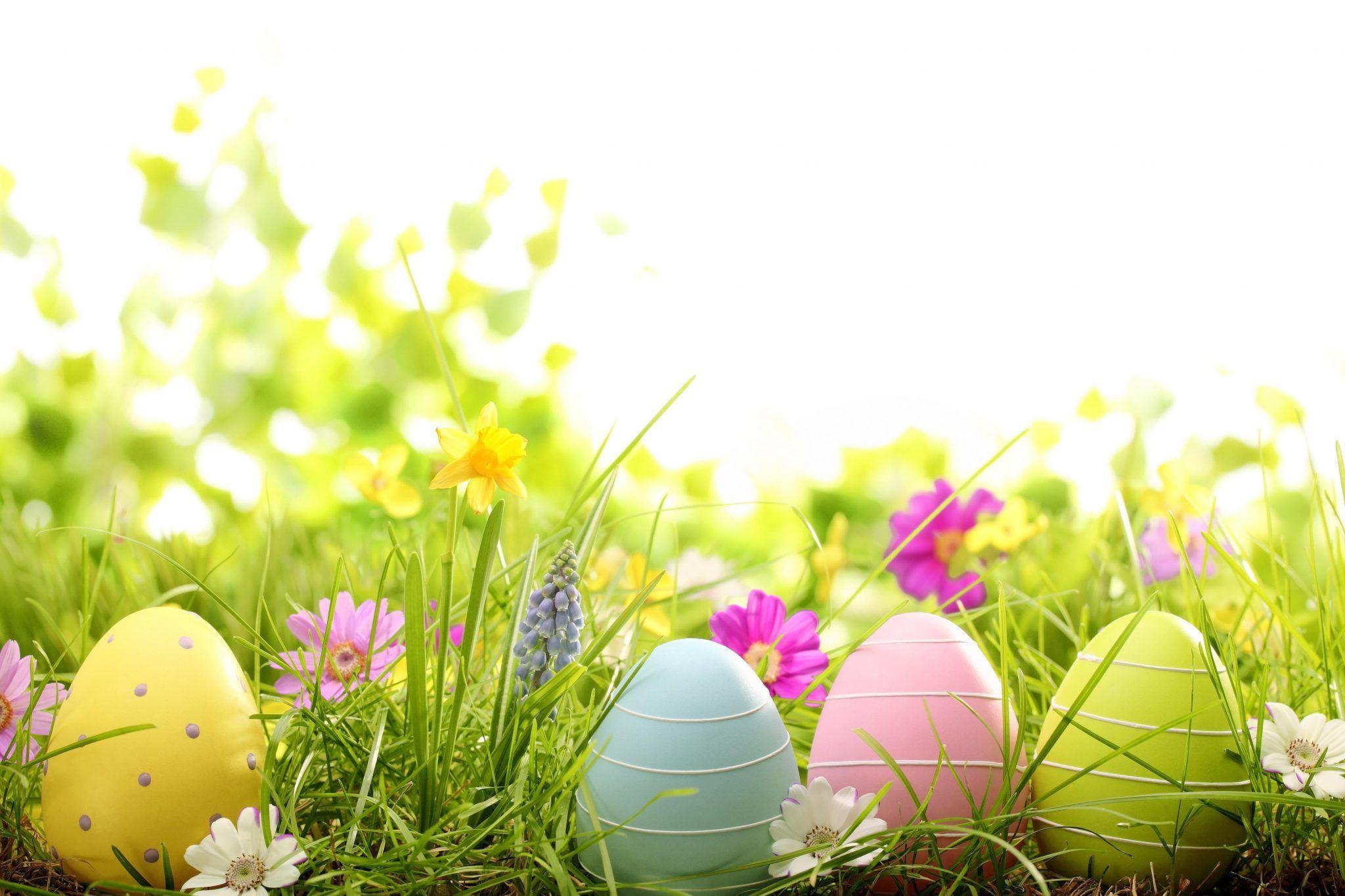 2048x1365 Easter Egg Hunting Party Checklist. Easter wallpaper, Easter background, Easter eggs