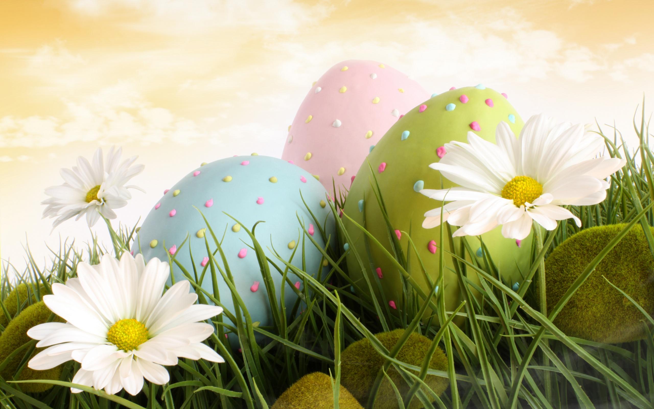 2560x1600 Free download HD Bunnies And Easter Wallpaper Desktop Background Funmole [2560x1600] for your Desktop, Mobile & Tablet. Explore Vintage Easter Desktop Wallpaper. Easter Wallpaper Background, Happy Easter Wallpaper, Easter