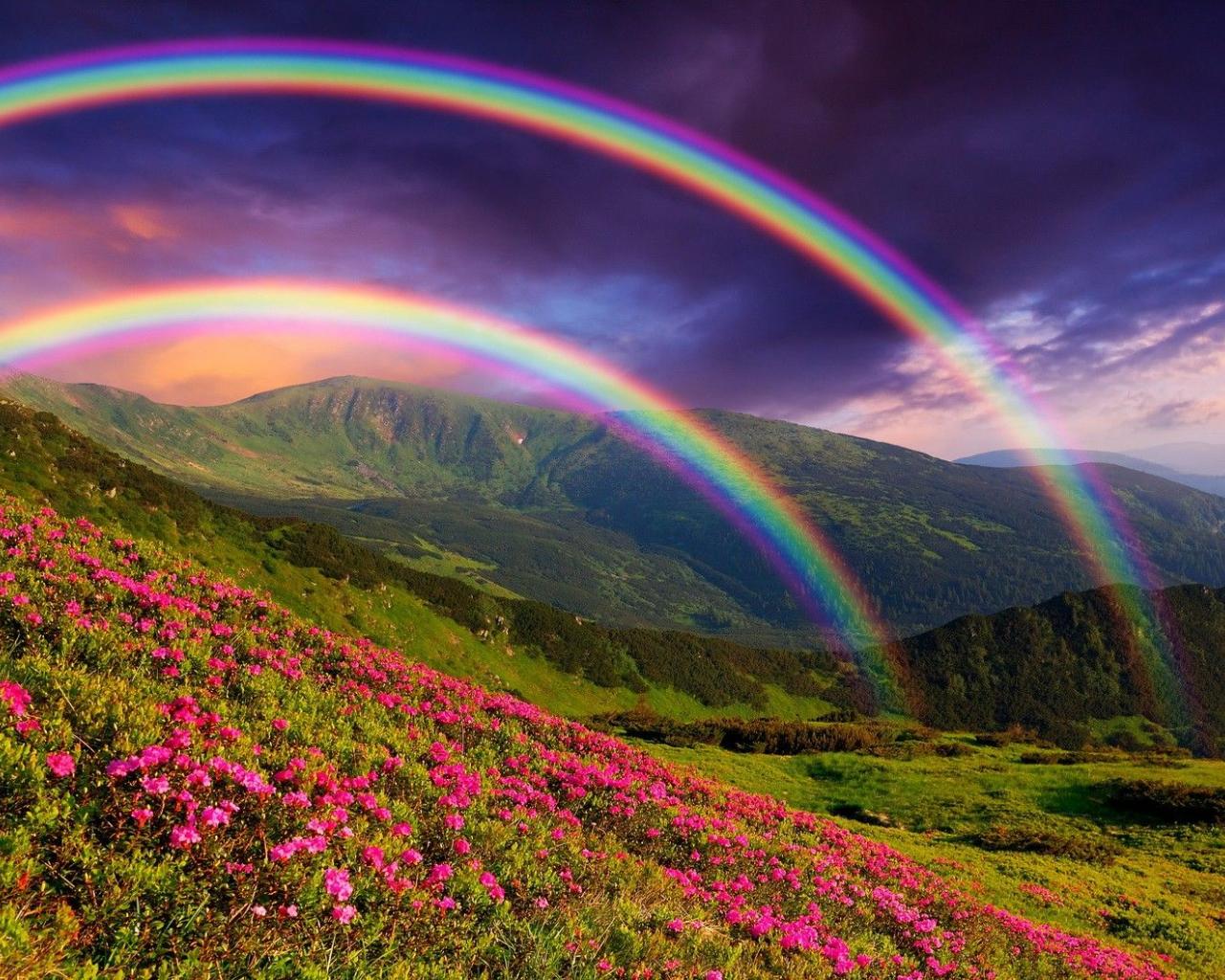 1280x1024 Free download Rainbow Sky Wallpaper Top Rainbow Sky Background [1411x1058] for your Desktop, Mobile & Tablet. Explore Natural Rainbow HD Wallpaper. Natural Rainbow HD Wallpaper, Natural Rainbow Wallpaper, HD Natural Wallpaper