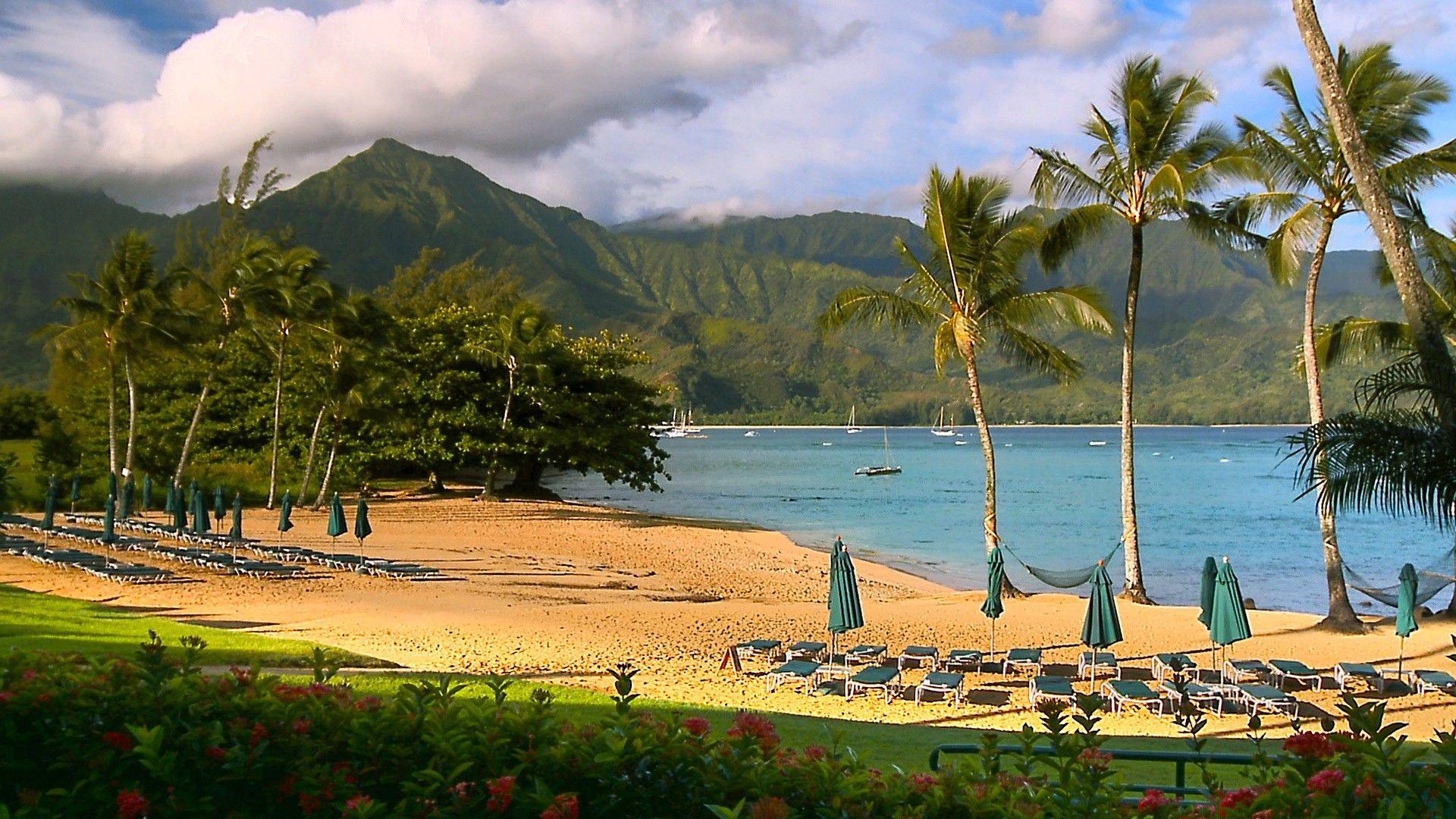 1920x1080 Dual monitor clipart beach