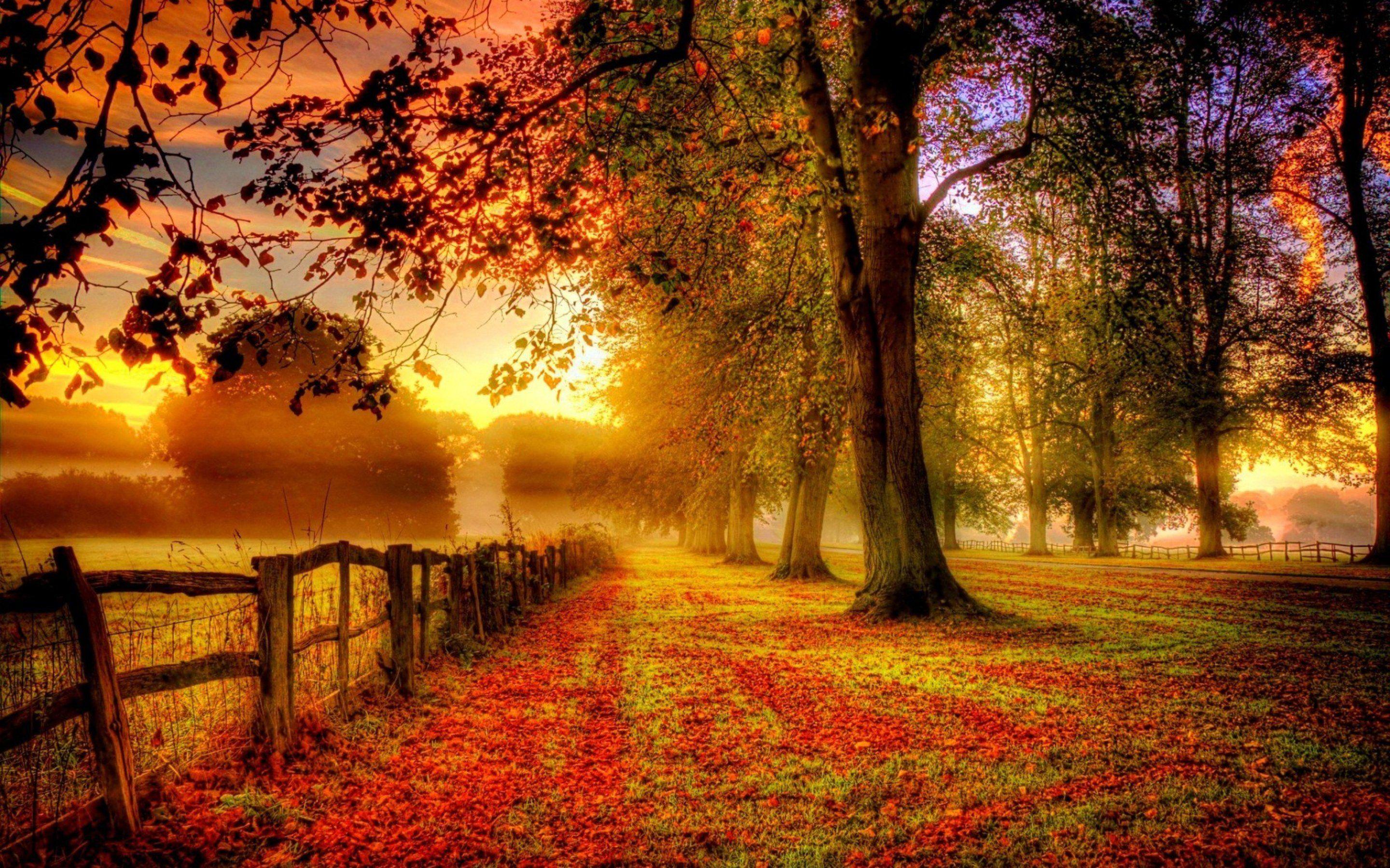 Country Sunset Road Download Free  Banner Background Image on Lovepik   401625270