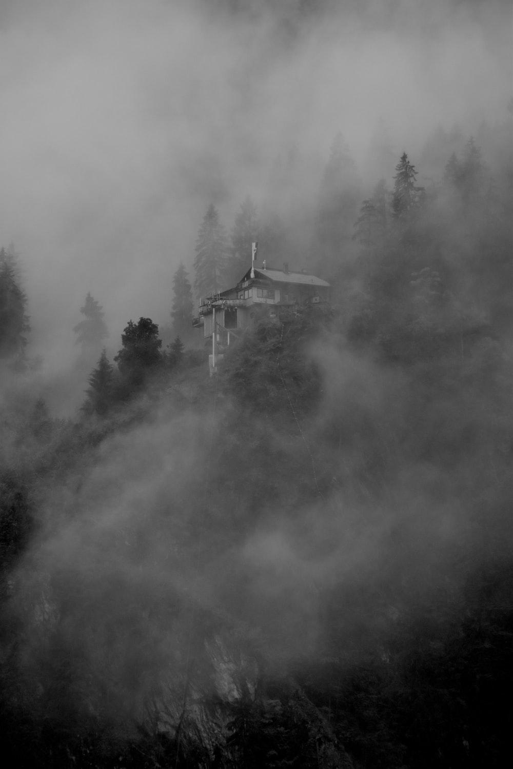 1000x1500 Mystery Picture. Download Free Image
