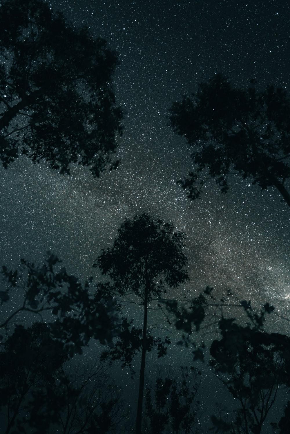 1000x1499 Mystery Picture. Download Free Image