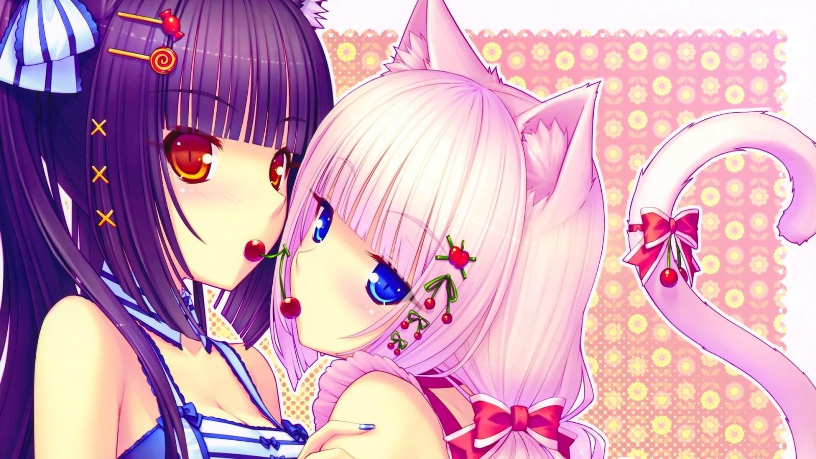 1600x900 #anime girls, #blue eyes, #Chocolat (Neko Para), #pink hair, #brunette, #Vanilla (Neko Para), #looking at viewer, #long hair, #anime, # Neko Para, #animal ears, wallpaper. Mocah HD Wallpaper