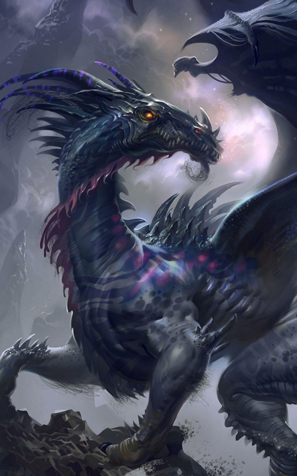 1000x1600 Dragon Wallpaper and HD Background free download on PicGaGa