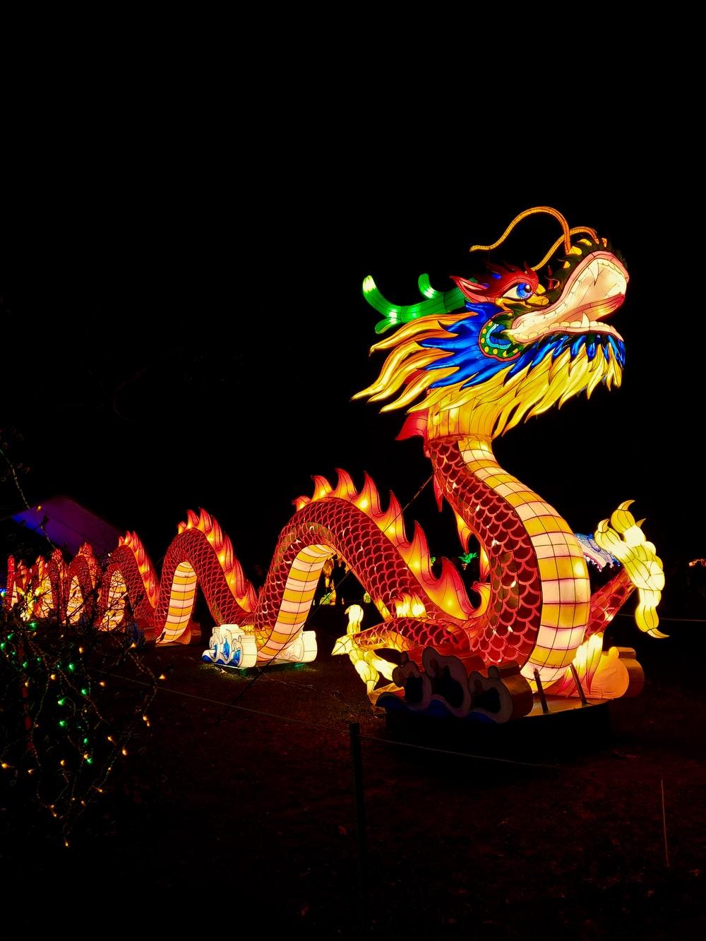 1000x1333 Chinese Dragon Picture. Download Free Image