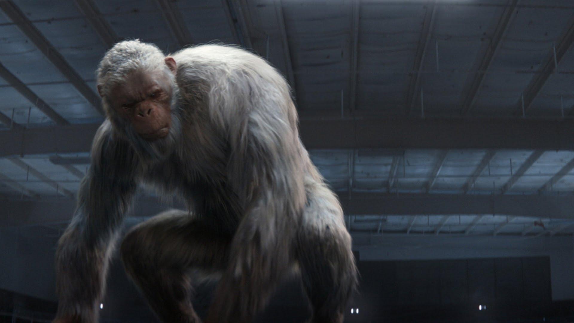 1920x1080 Abominable Snowman. Sony Picture Animation