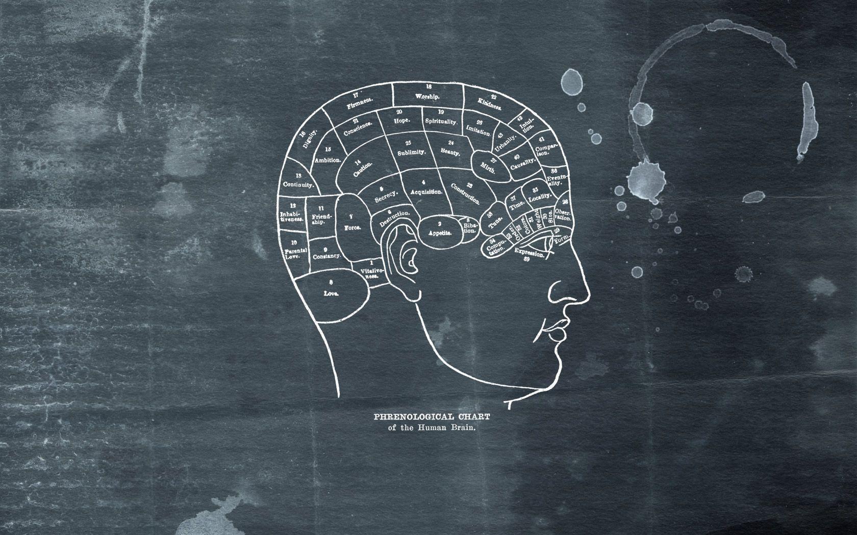 1680x1050 Brain Wallpaper