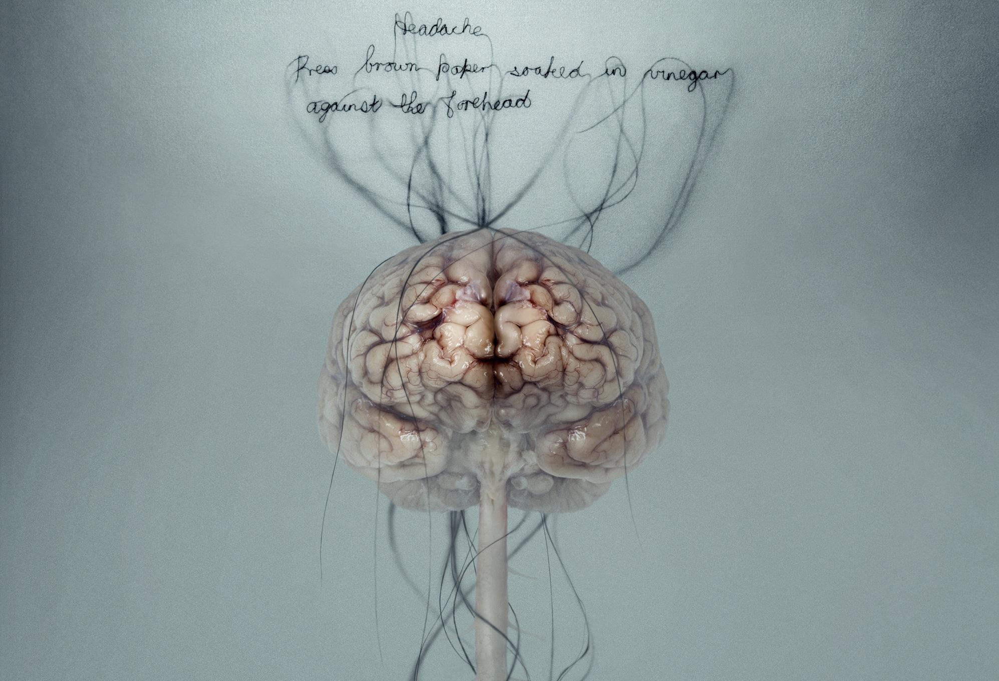 1995x1360 Free download Anatomy Computer Wallpaper Desktop Background 1995x1360 ID [1995x1360] for your Desktop, Mobile & Tablet. Explore Anatomy Wallpaper. Human Anatomy Wallpaper, Grey S Anatomy Wallpaper, Grey Wallpaper HD