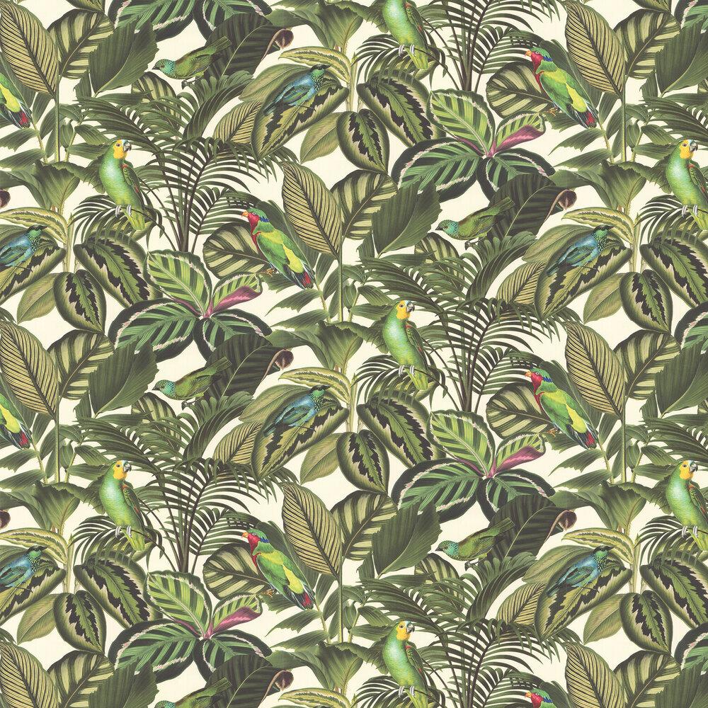 1000x1000 Parrot Jungle by Albany : Wallpaper Direct