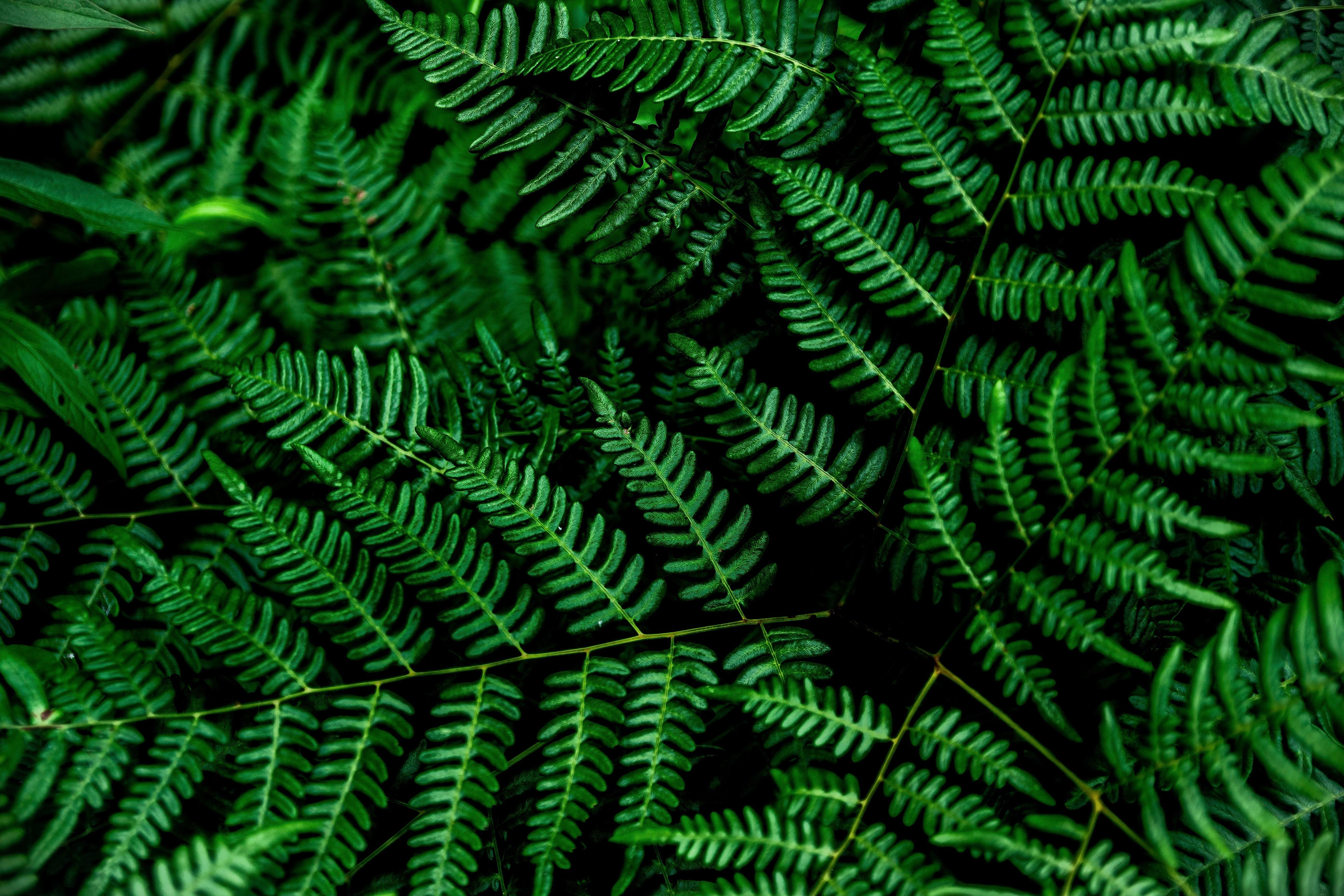 5568x3712 Picture I took makes a great 4K and OLED wallpaper [3840x2160]: wallpaper