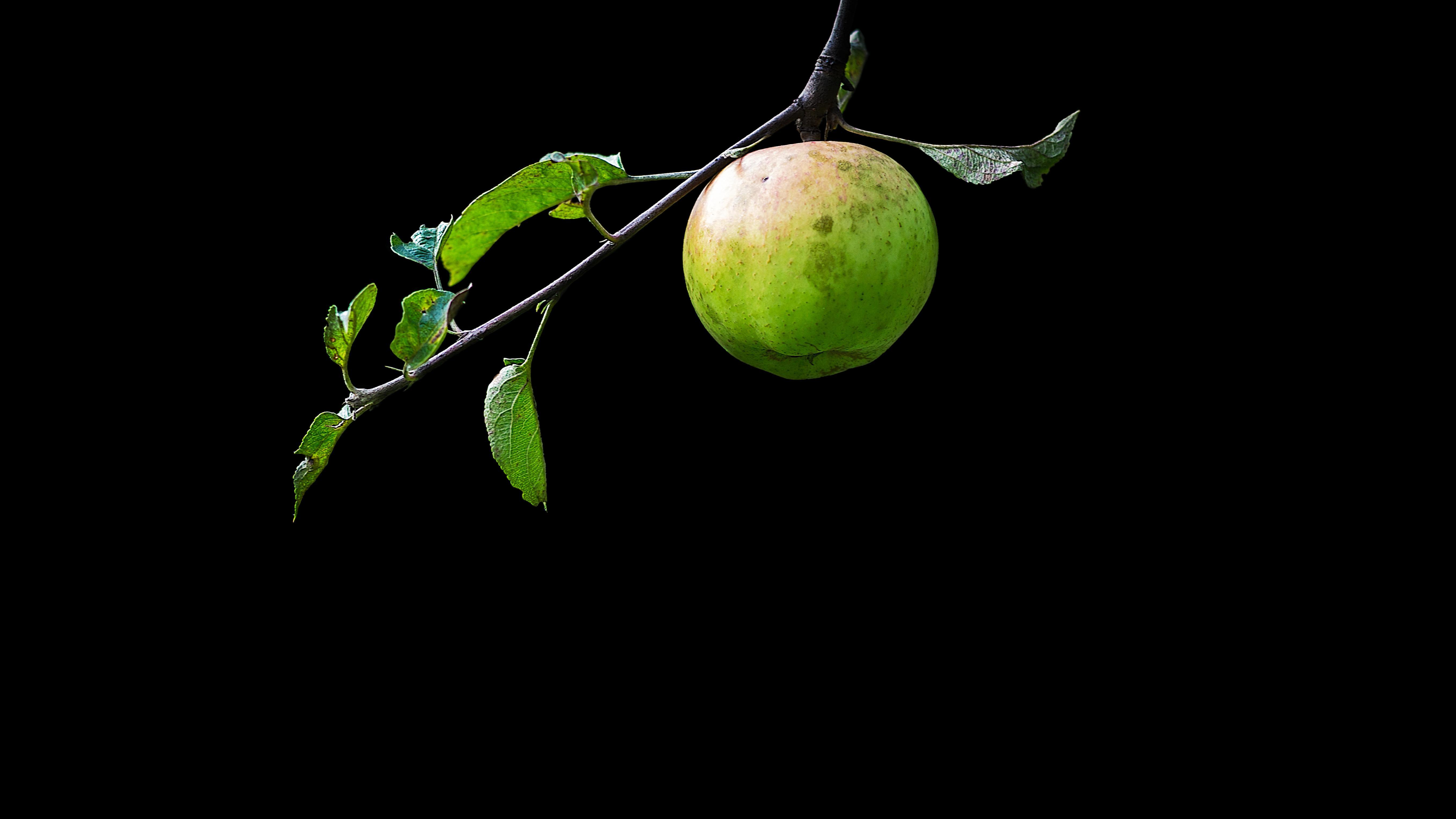 5430x3054 Oled Friendly Apple Wallpaper