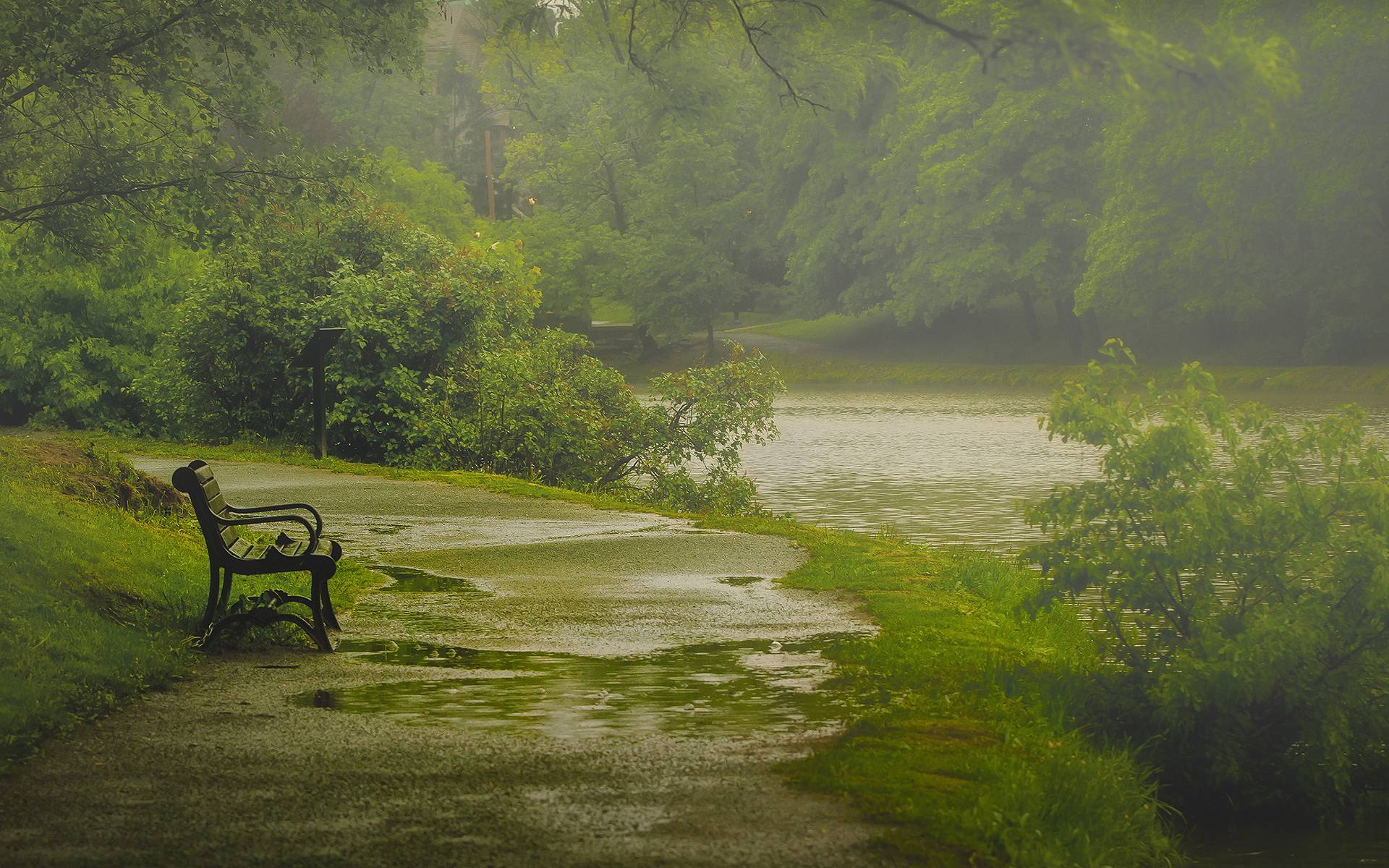 1920x1200 Rain Wallpaper, HDQ Cover Picture