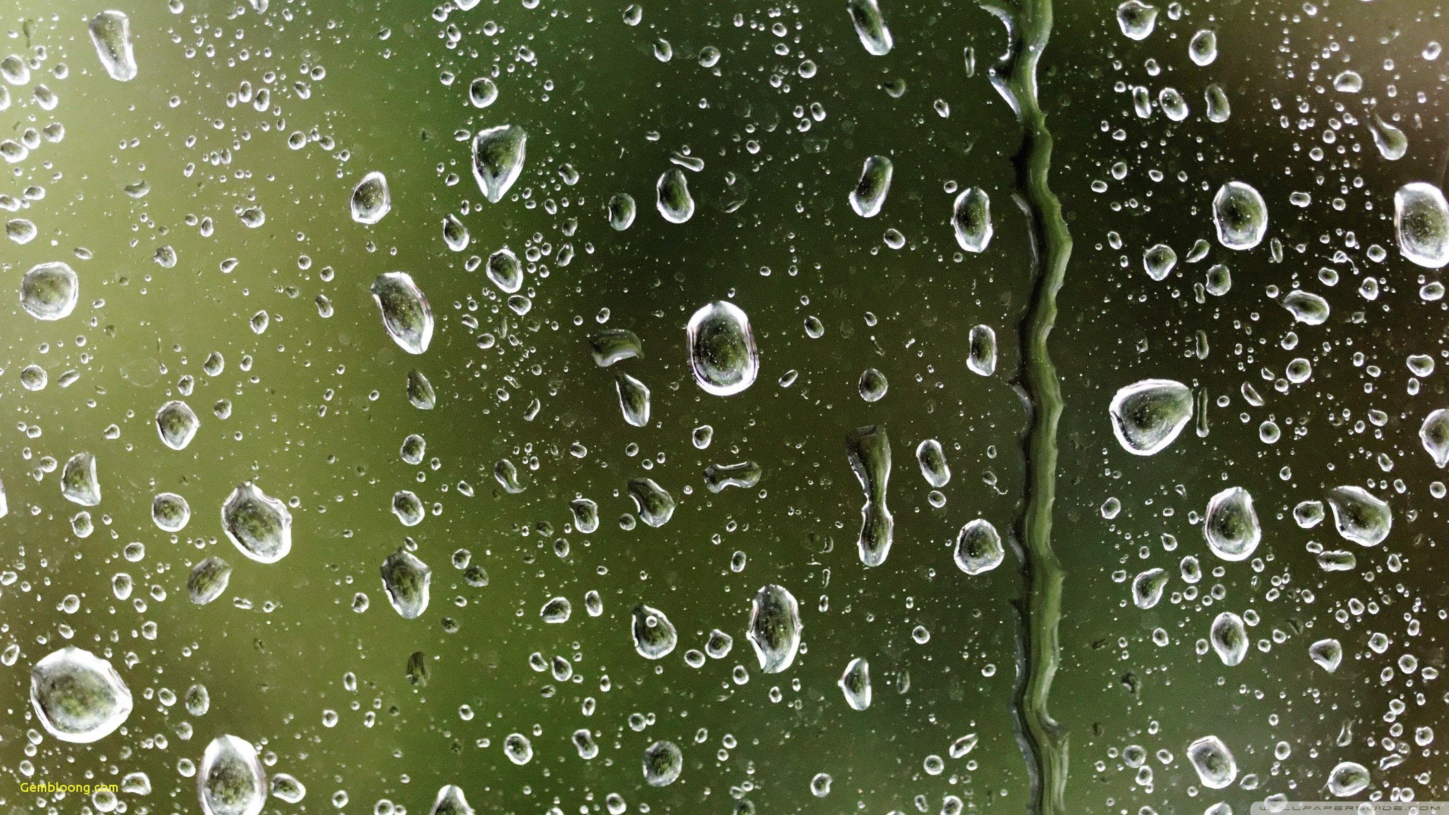 2880x1620 Hd Wallpaper android Rain Fresh Cayleigh Sheridan On
