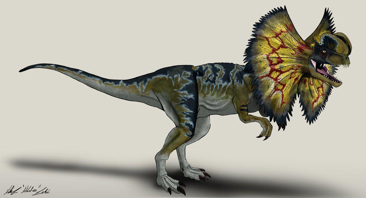 1215x657 Dilophosaurus Wallpaper