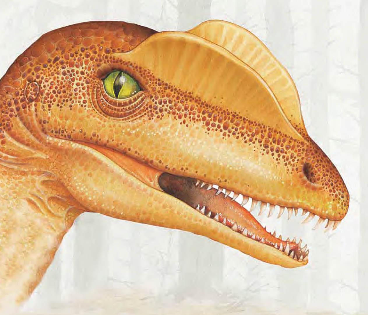 1263x1080 Dilophosaurus