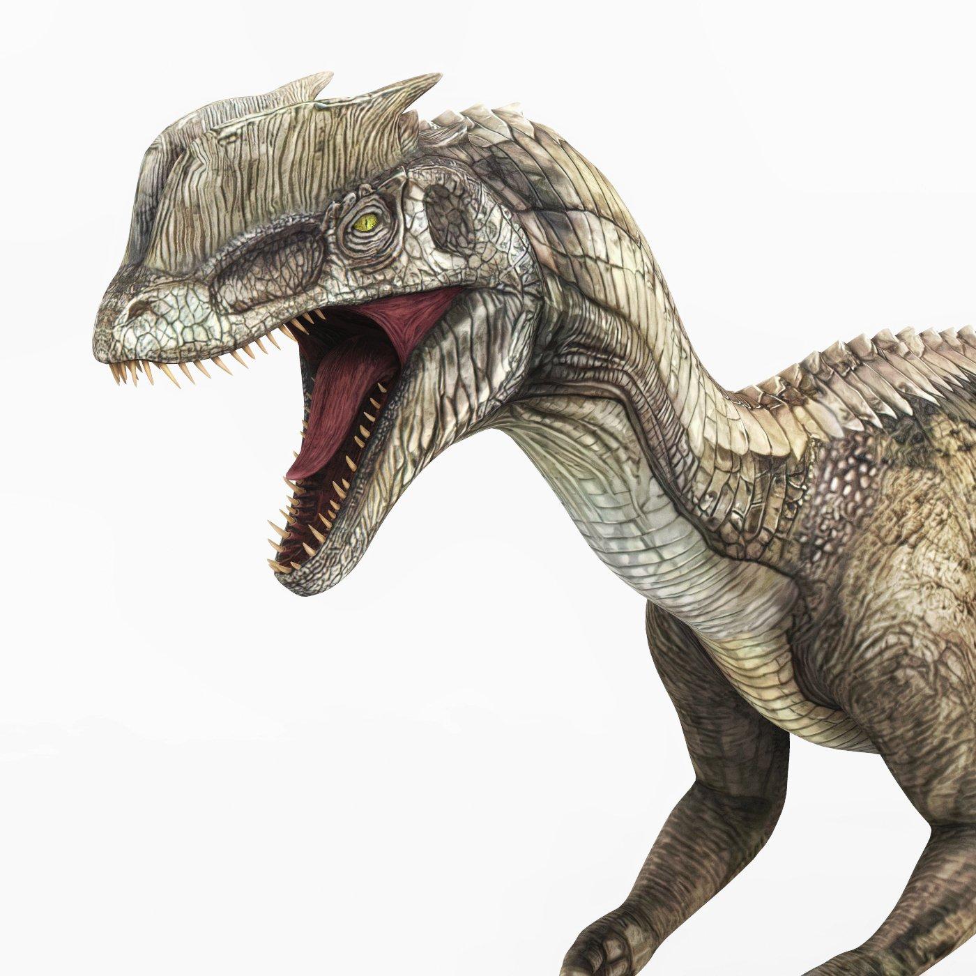 1400x1400 Dilophosaurus Dinosaur 3D Model