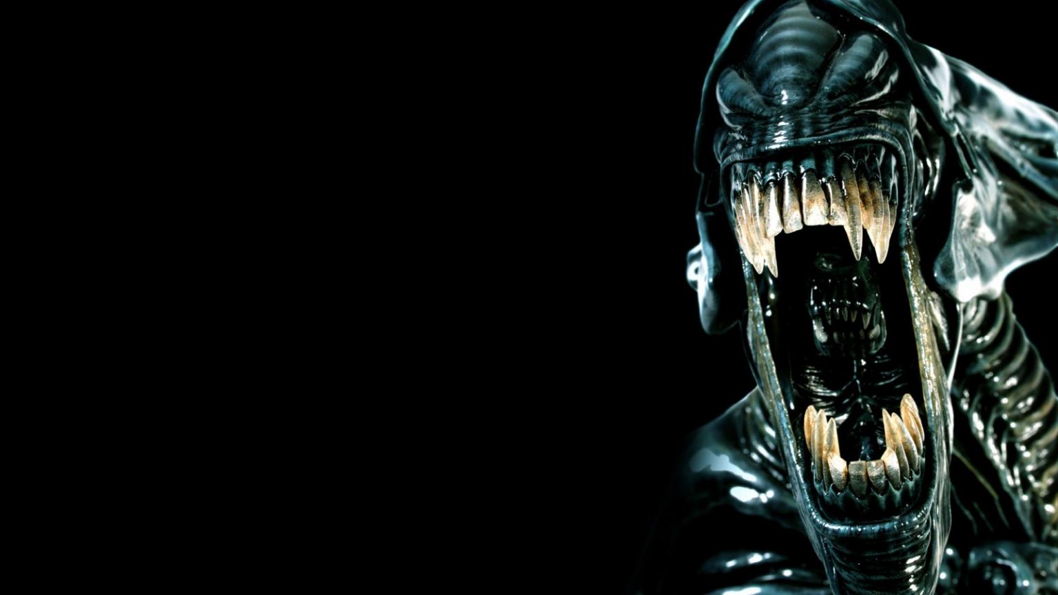 1536x864 Free download Aliens Wallpaper HD Wallpaper Aliens Wallpaper 63jpg [1600x1000] for your Desktop, Mobile & Tablet. Explore Alien HD Wallpaper. Alien Movie Wallpaper, Best Space Wallpaper HD, Alien Wallpaper
