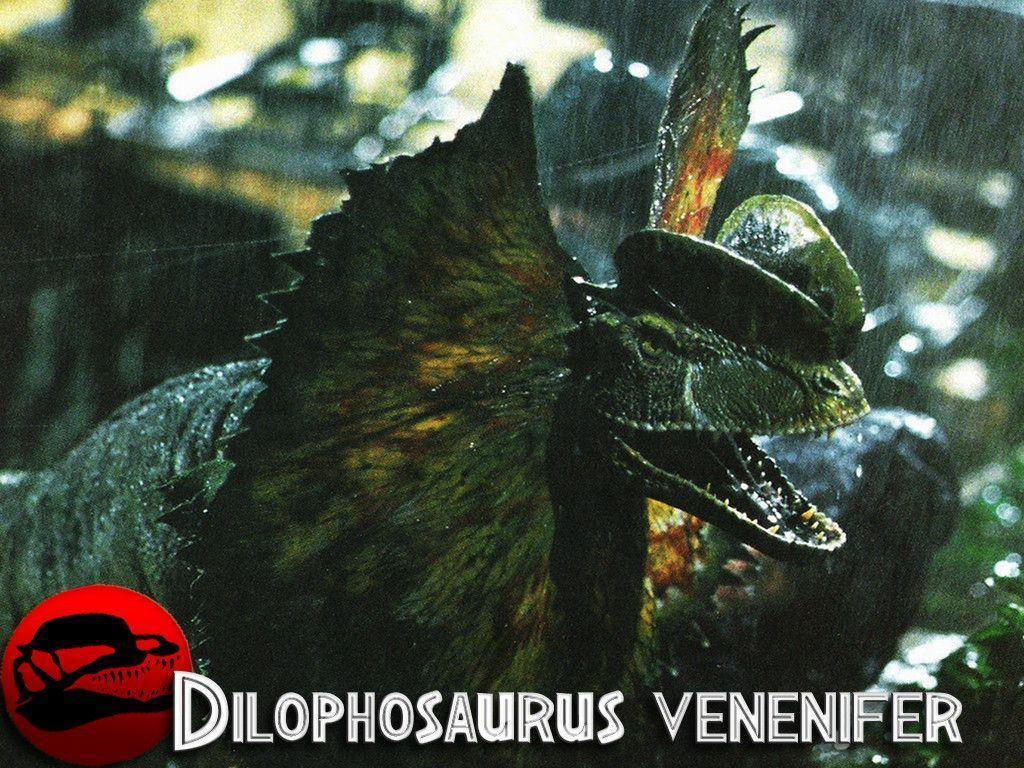 1024x768 Jurassic Park 3 Wallpaper