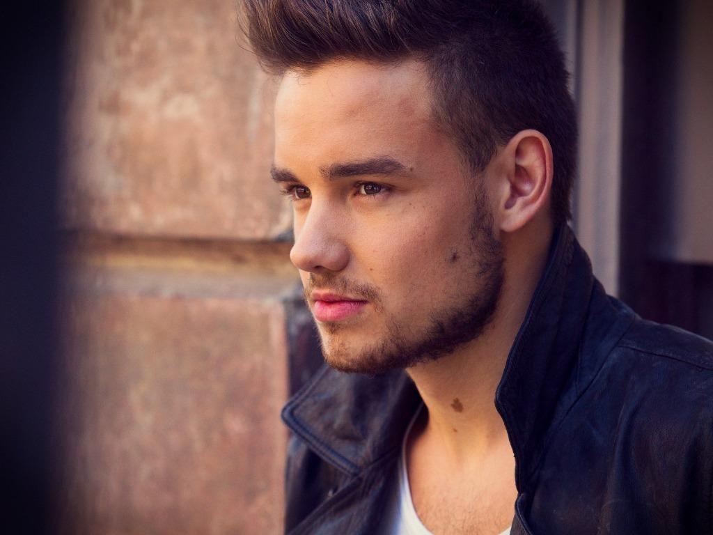 1024x768 Liam Payne Wallpaper