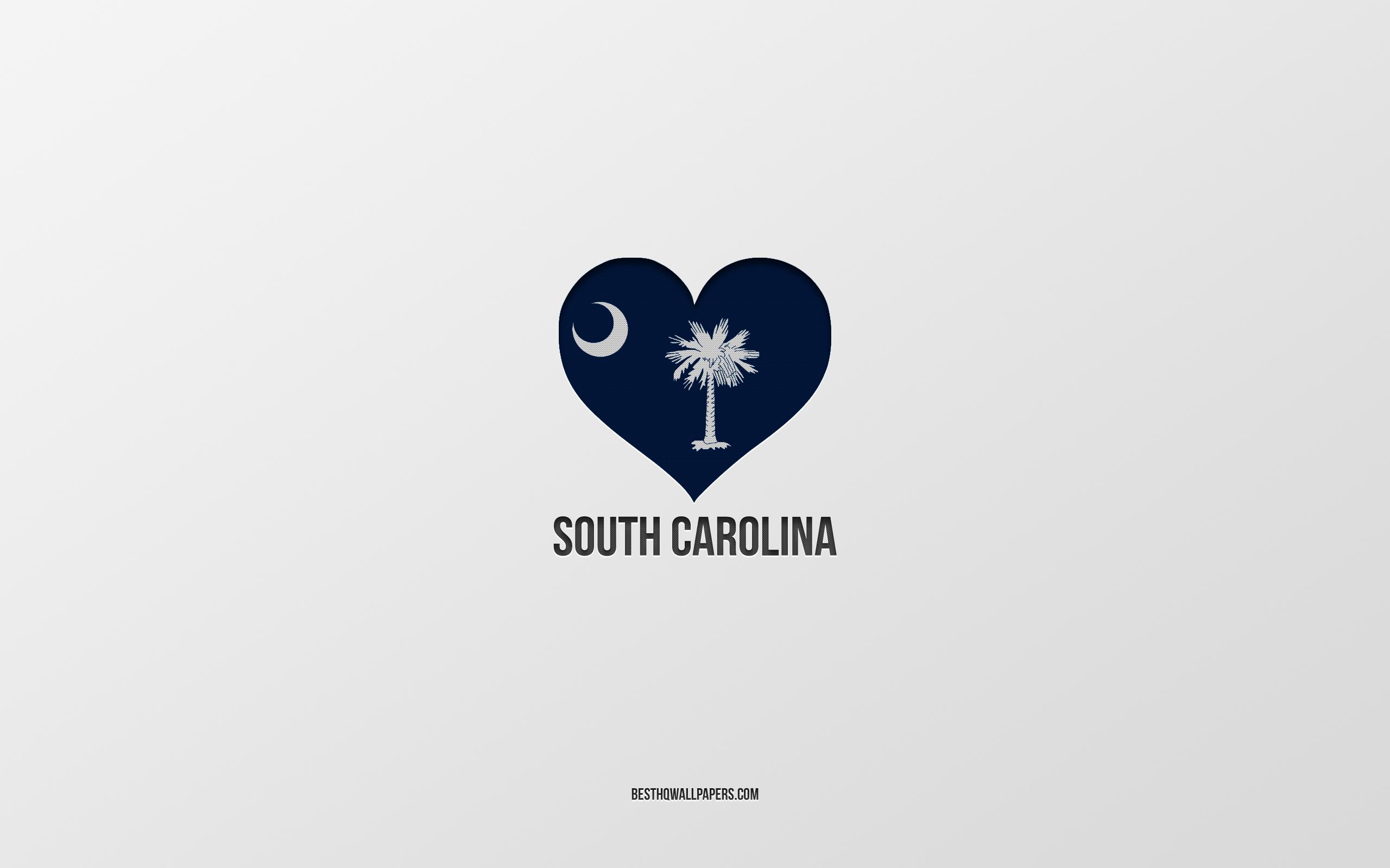 2560x1600 Download wallpaper I Love South Carolina, American States, gray background, South Carolina State, USA, South Carolina flag heart, favorite cities, Love South Carolina for desktop with resolution 2560x1600. High Quality HD picture