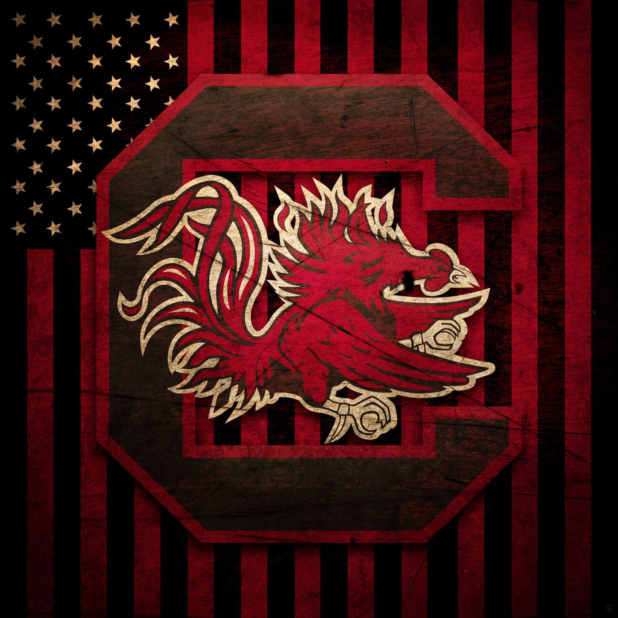 2048x2048 South Carolina Wallpaper, HD South Carolina Background on WallpaperBat