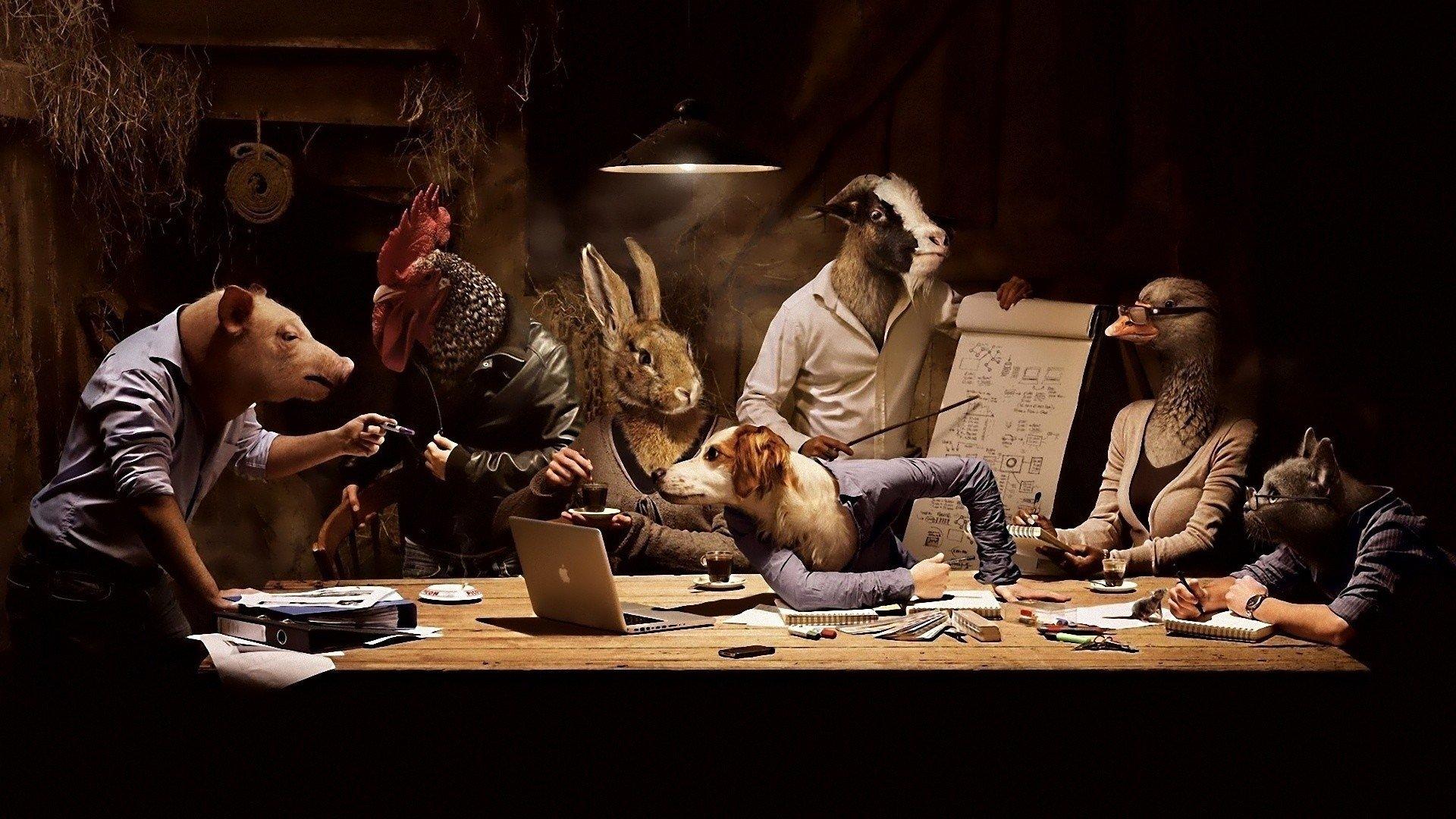 1920x1080 Funny And Weird Picture 18 Background Wallpaper HD Wallpaper