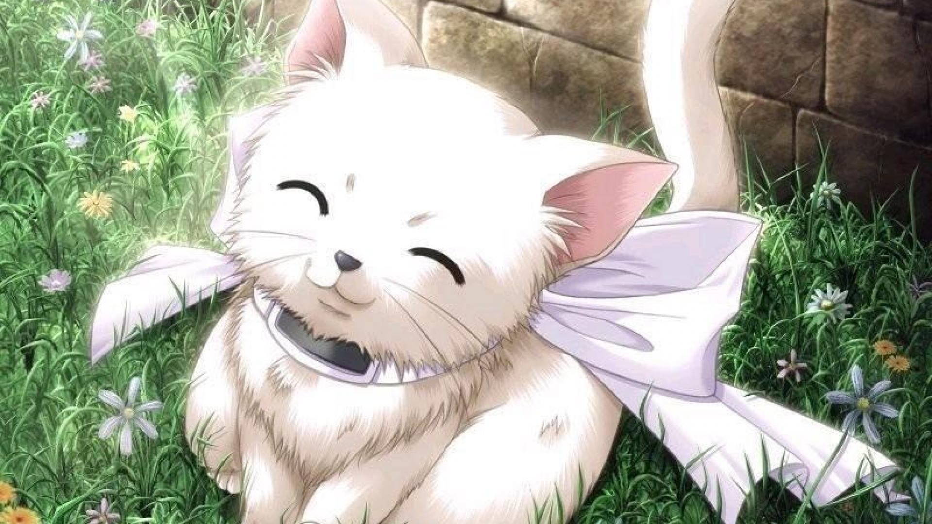1920x1080 Cute Kitty Cat Anime Wallpaper