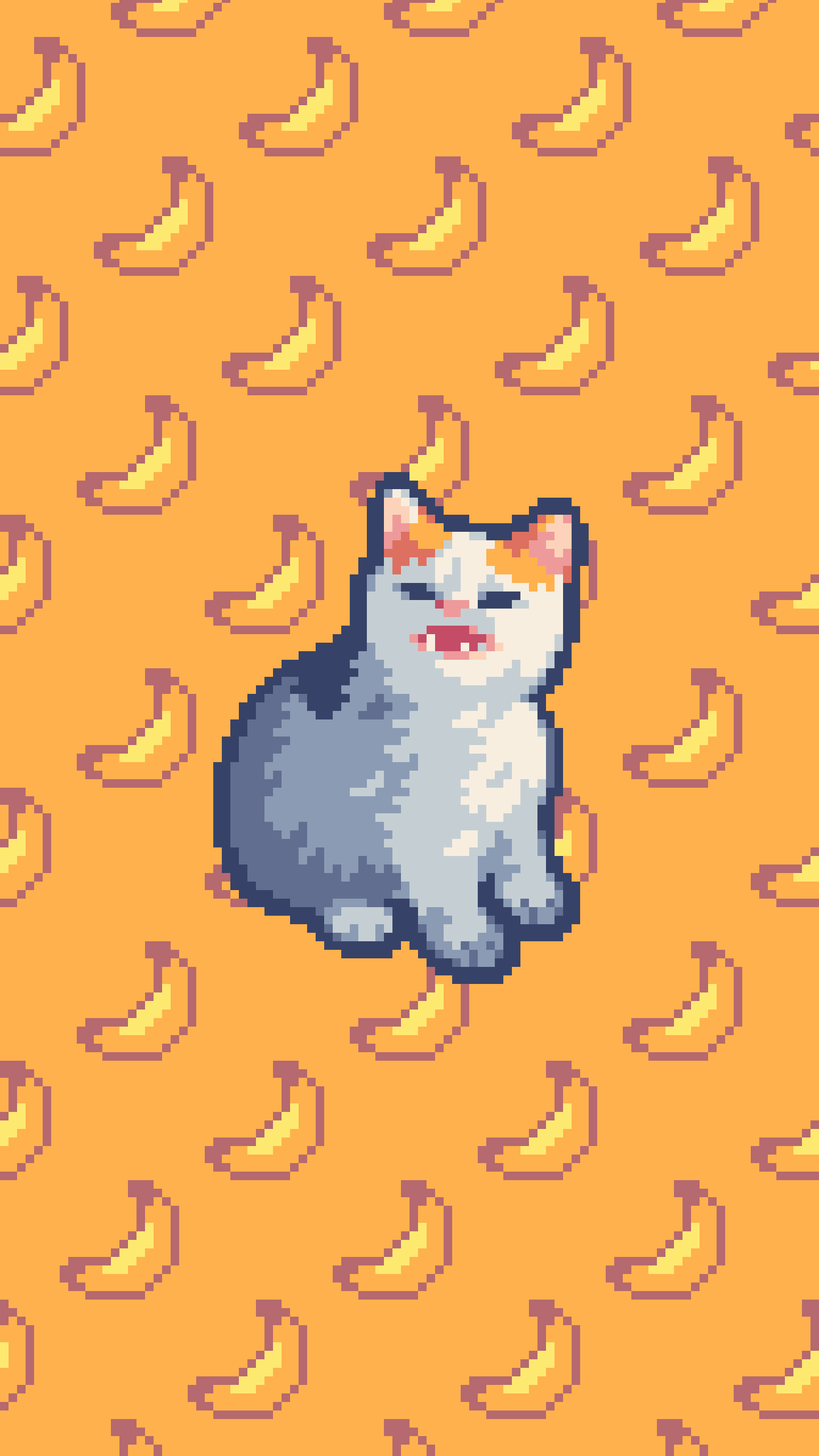 1440x2560 Cat Wallpaper