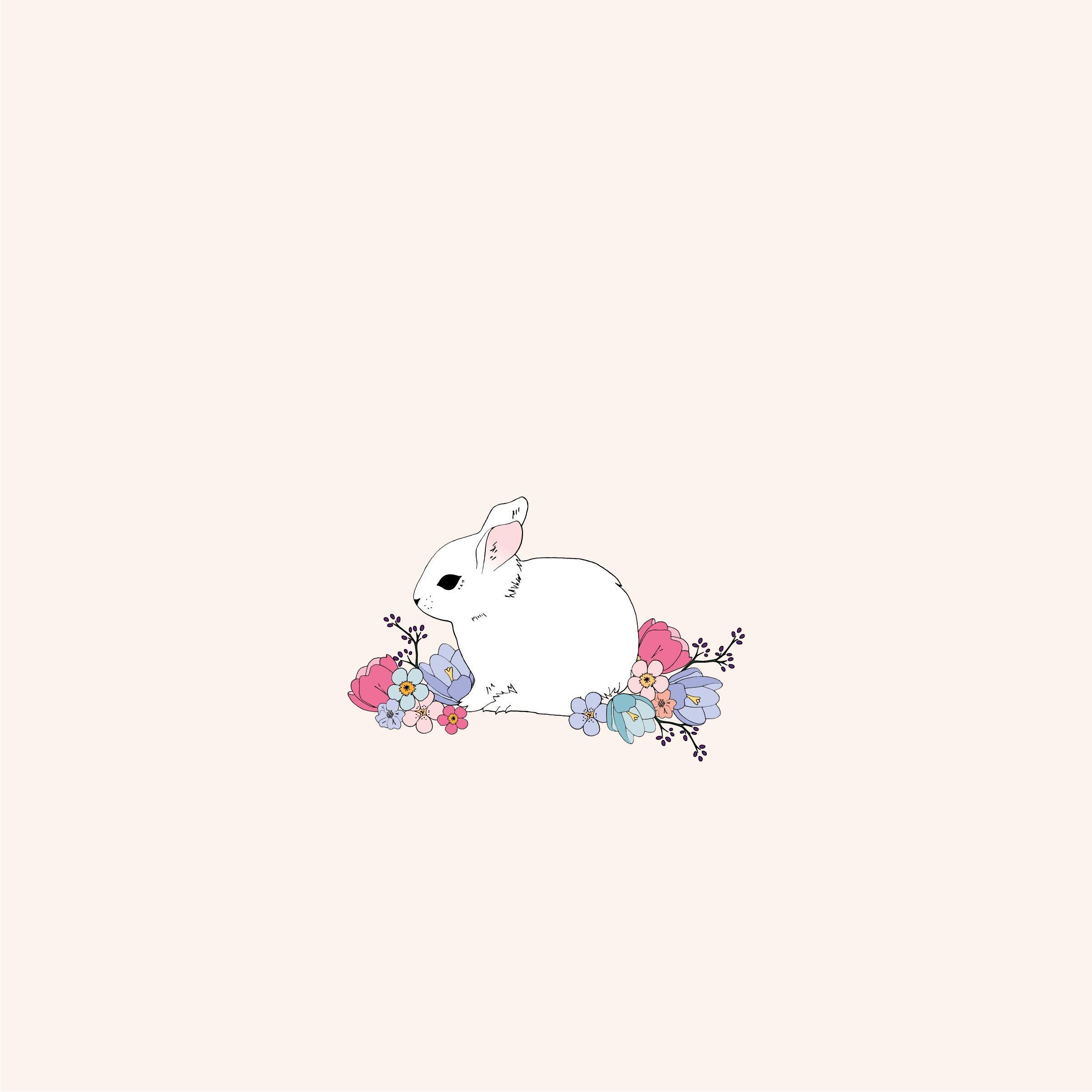 Download Unlock Your Cuteness with This Cute Bunny iPhone Wallpaper   Wallpaperscom