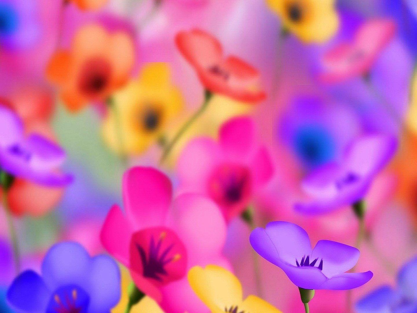 1440x1080 Flower: Yellow Multicolor Sweet Red Soft Beautiful Purple Pretty