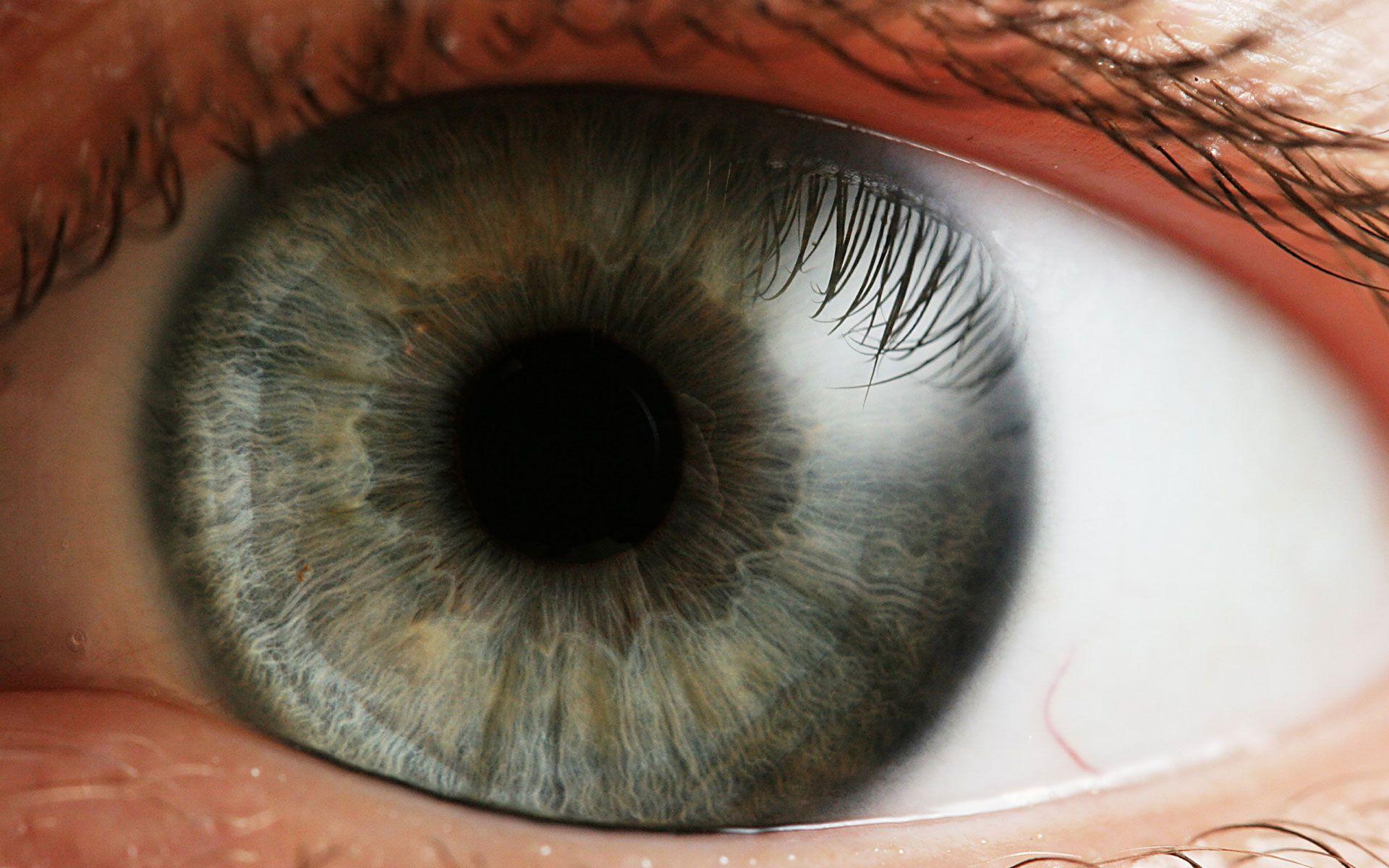 1920x1200 Moving Eyeball Wallpaper Eyeball High Resolution Wallpaper. Eye color change, Eyes wallpaper, Eye color