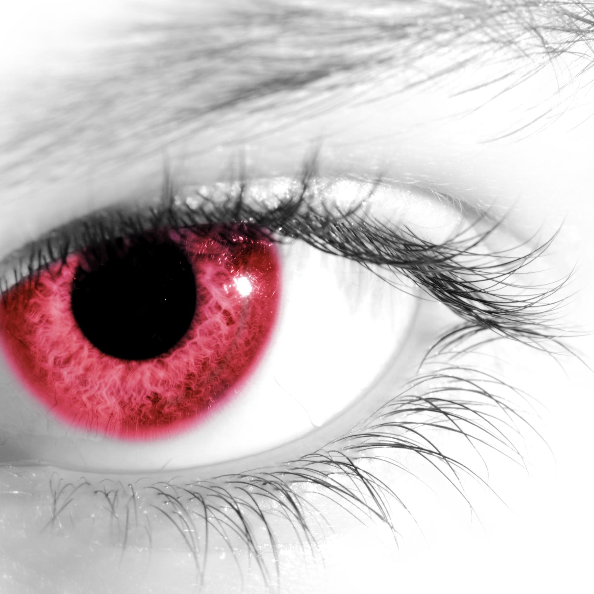 2048x2048 Red Eye Retina Wallpaper for iPhone Pro Max, X, 6