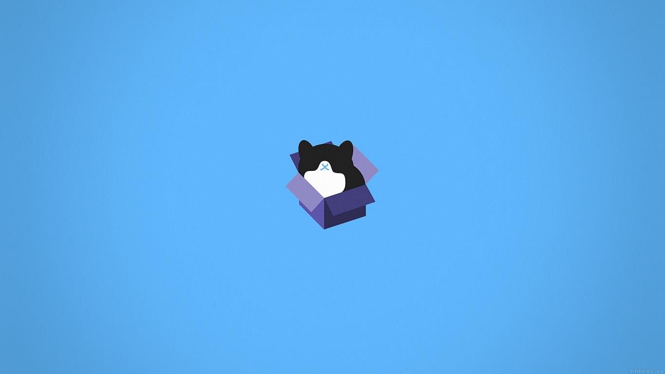 1366x768 Cat Box Blue Illust Animal Art Minimal