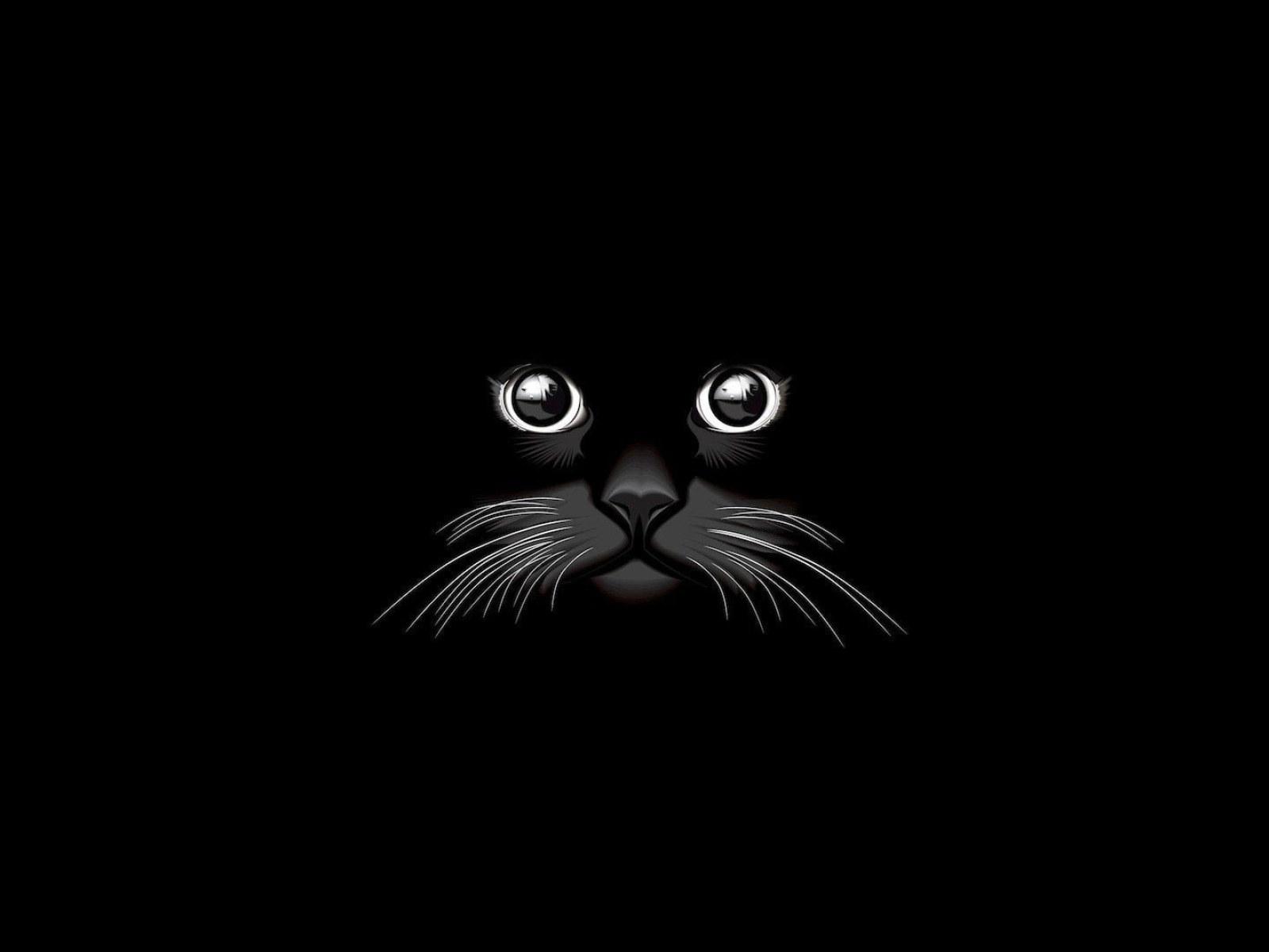 1600x1200 Artistic wallpaper, Vector, Black, Cat, Minimalist • Wallpaper For You HD Wallpaper For Desktop & Mobile