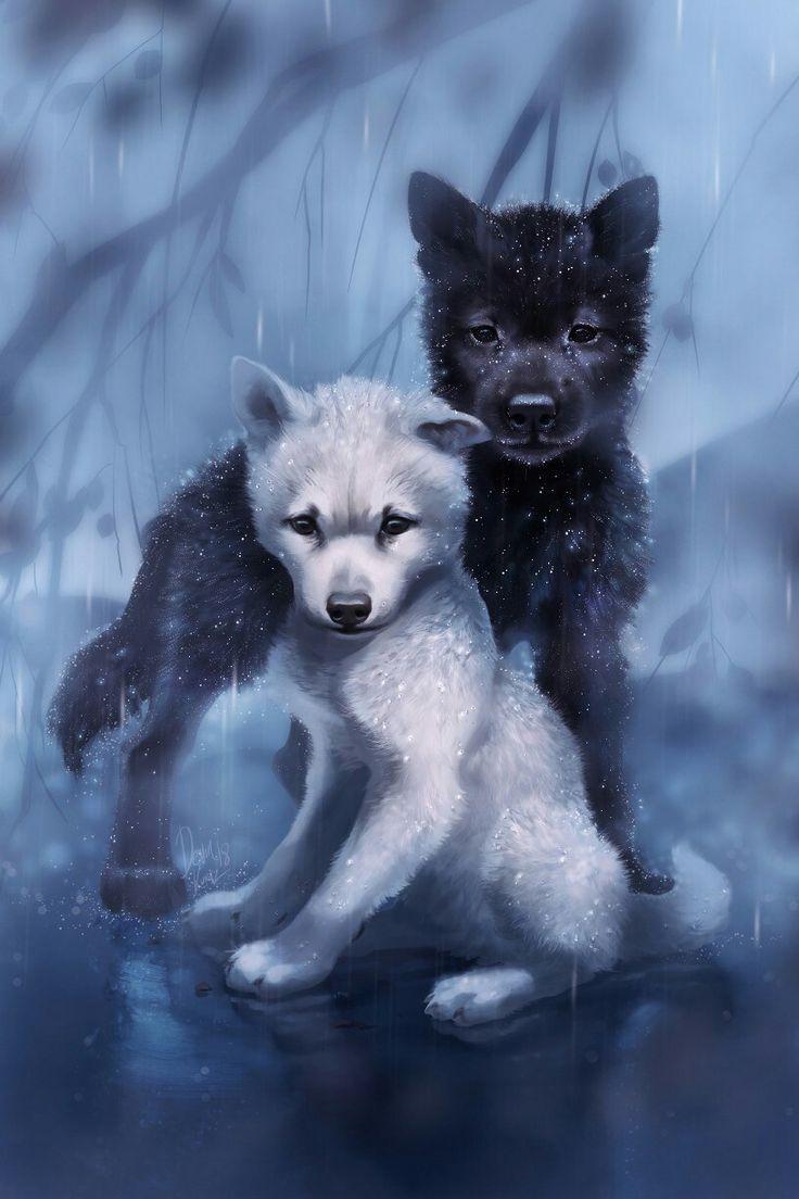 736x1104 Me and my bff Daniel He's the white wolf and Im the black #animewolf. Wolf spirit animal, Cute animal drawings, Animal drawings