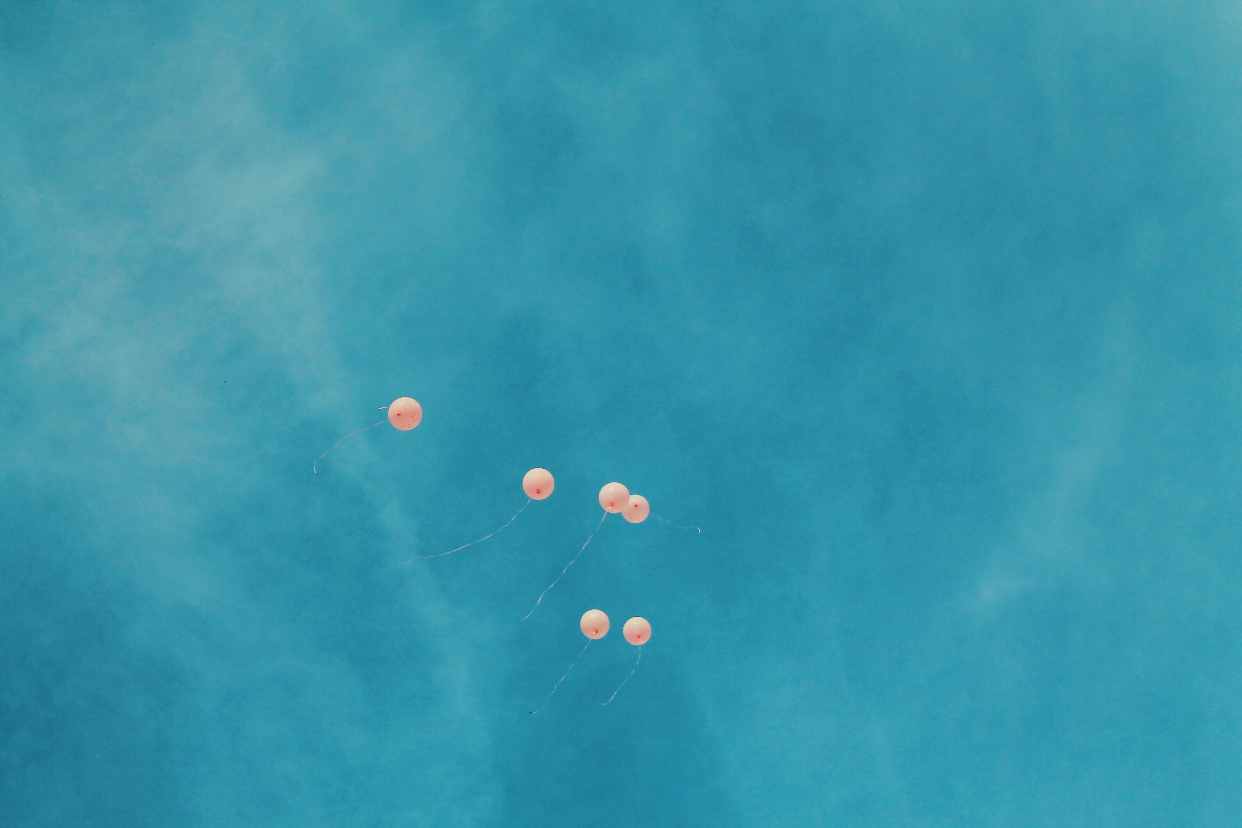 4272x2848 4272x2848 #balloon, #wallpaper, #background, #pink, #desktop, #away, #up, #Free , #ordinary, #float, #sky, #cloud, #contrast, #fly, #darling, #delight, #display, #little thing, #weekend, #blue, #look up. Mocah HD Wallpaper