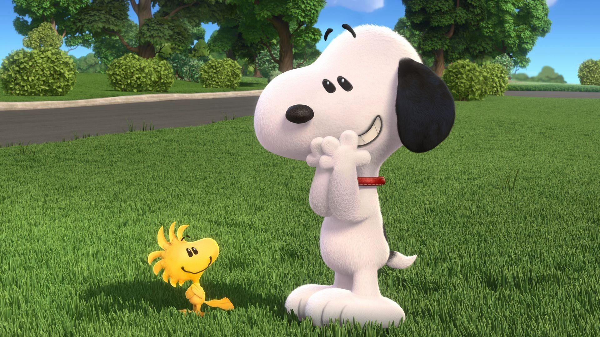 1920x1080 Awesome Cute Desktop Wallpaper