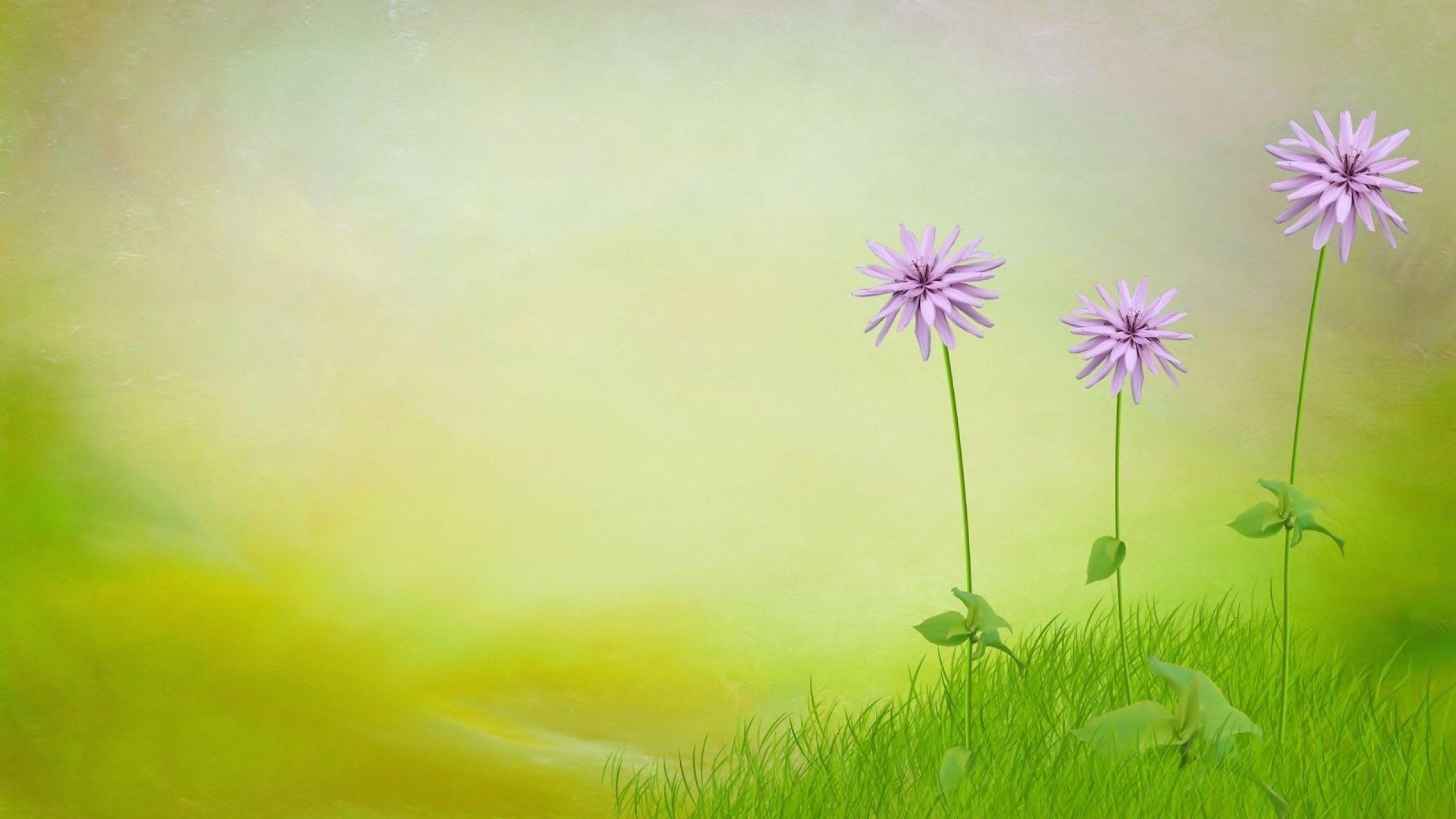 2560x1440 Cool Cute Wallpaper
