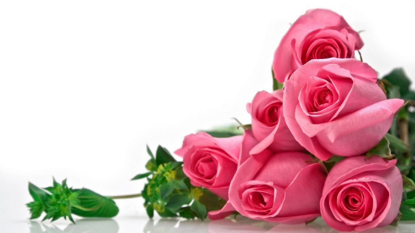 1366x768 Sweet Cute Flowers Wallpaper